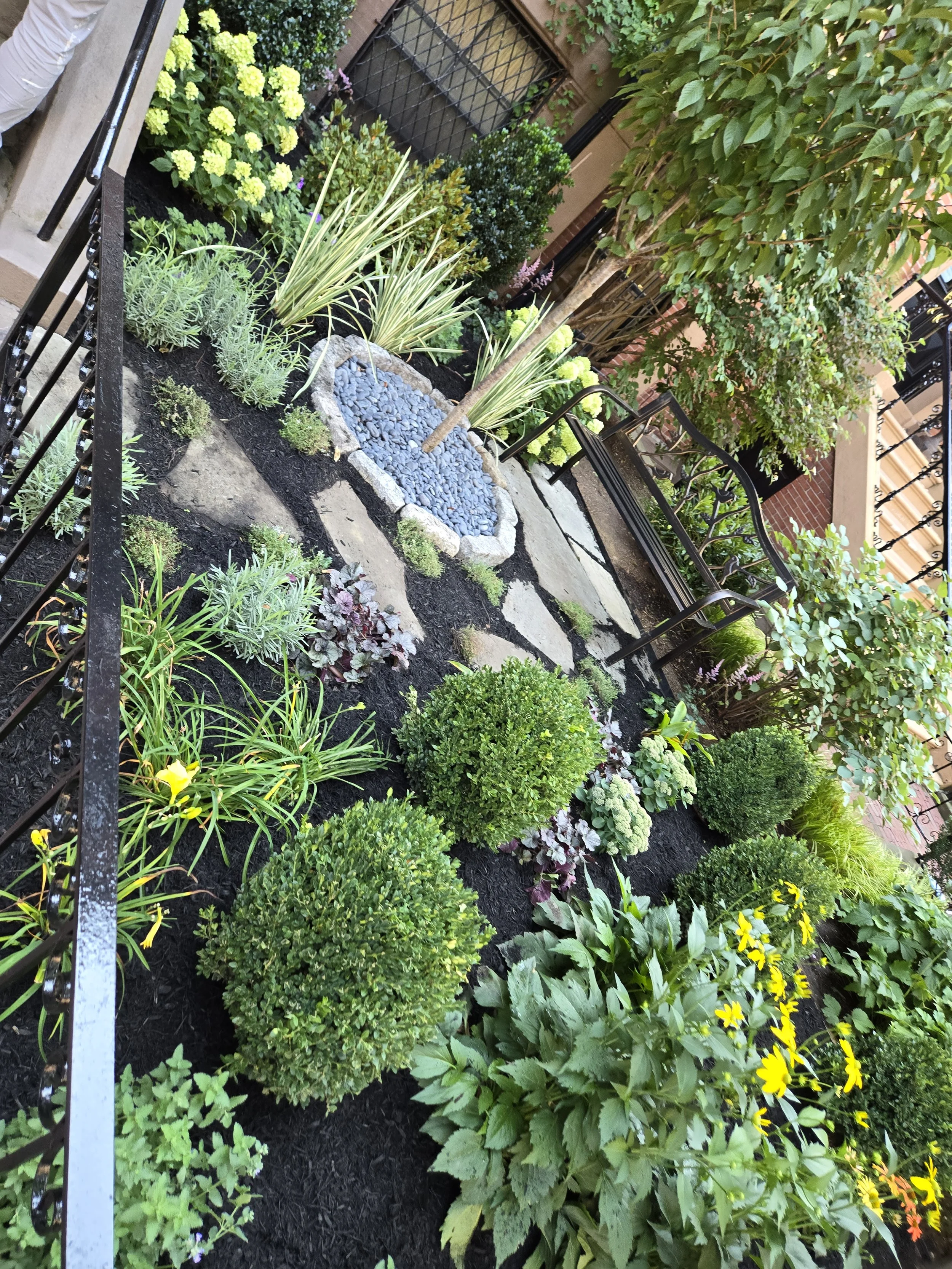 Marlborough Flowering.jpg