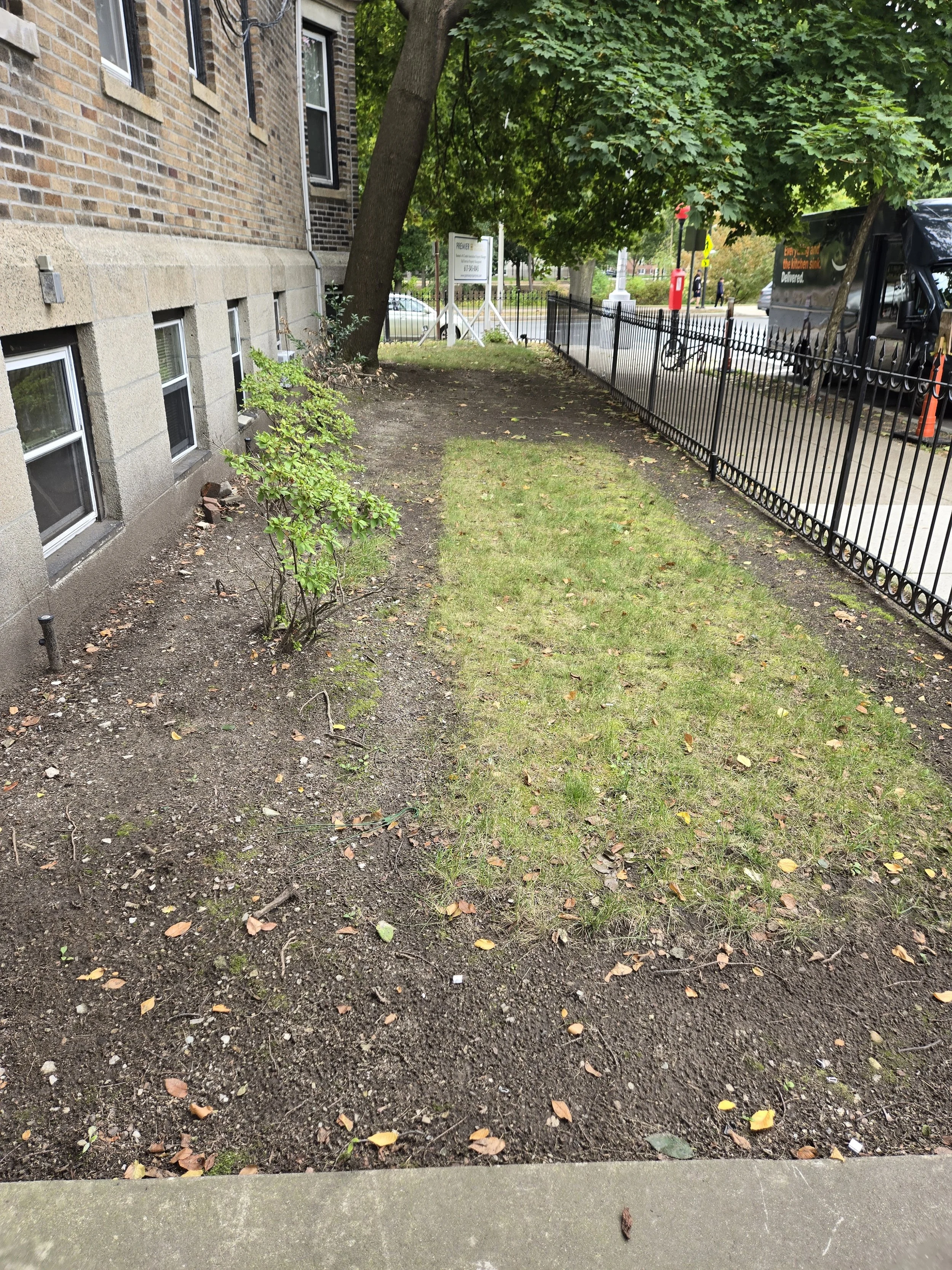 Fenway Before (2).jpg