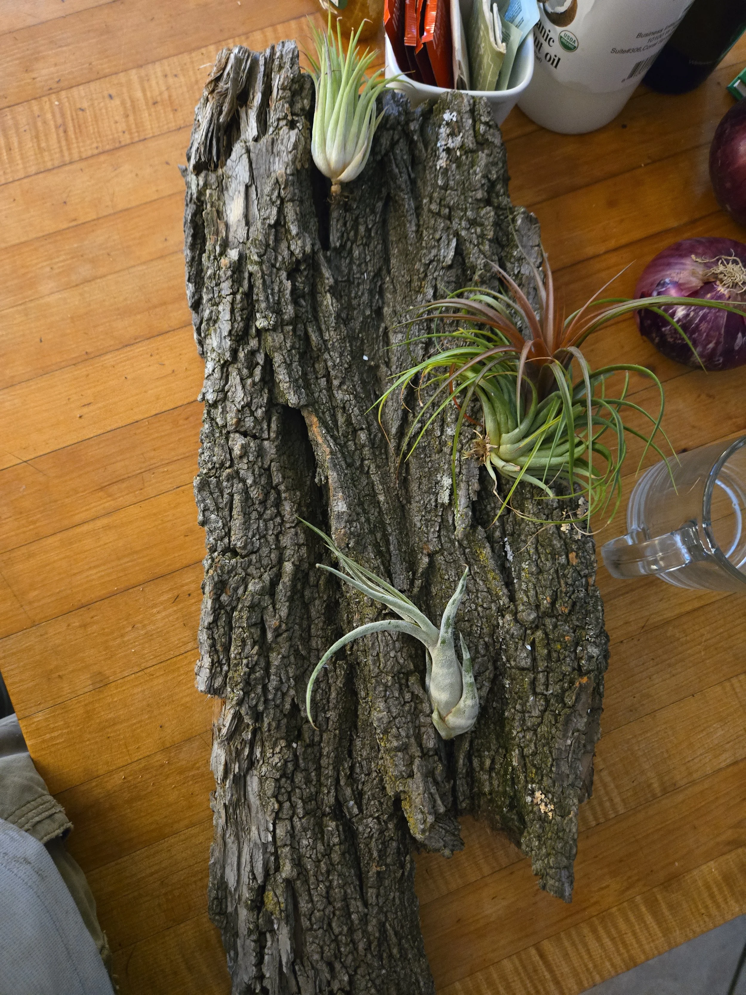 Interior and rooftop_.jpg