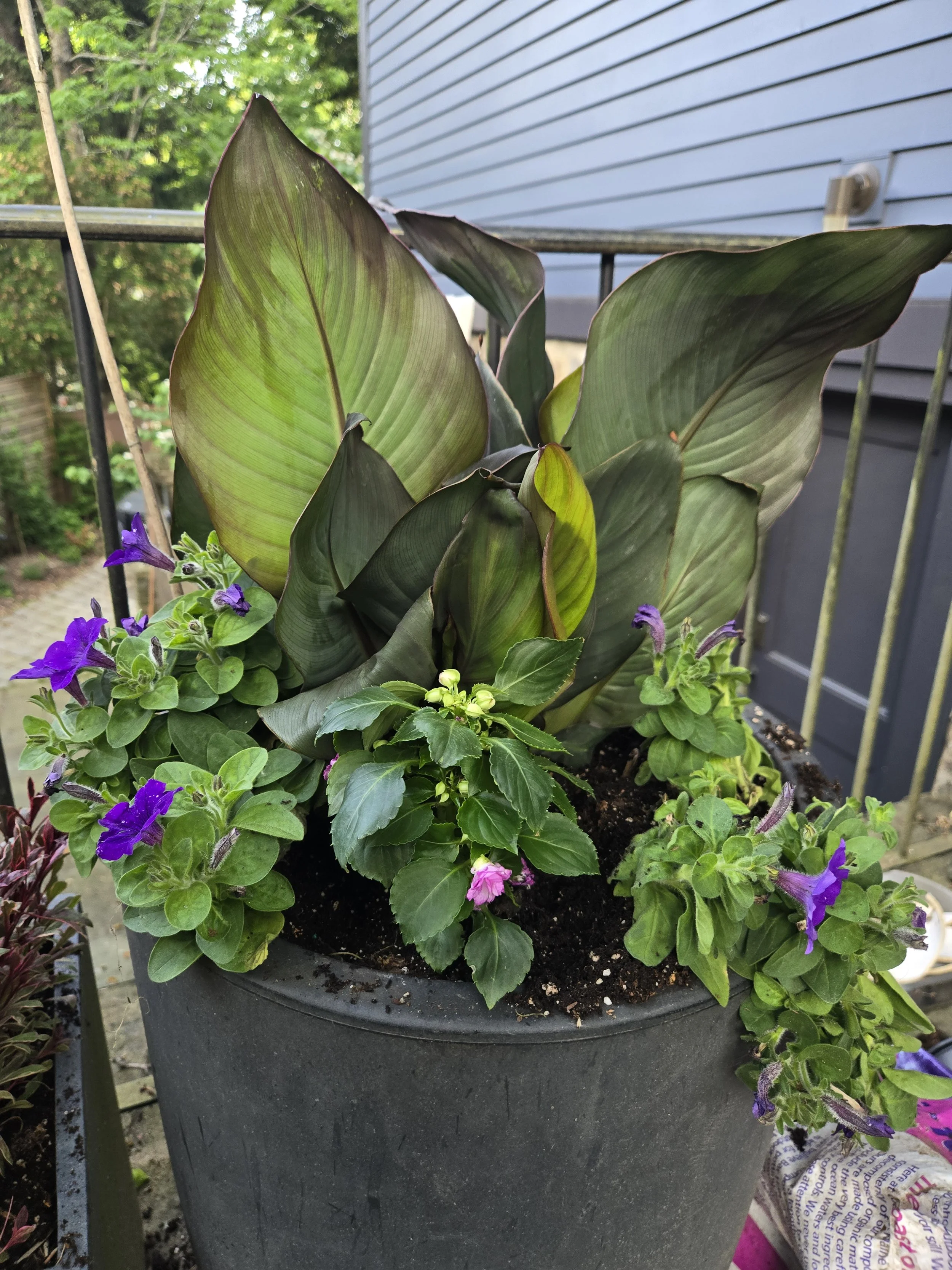 20250527_181728 (1).jpg