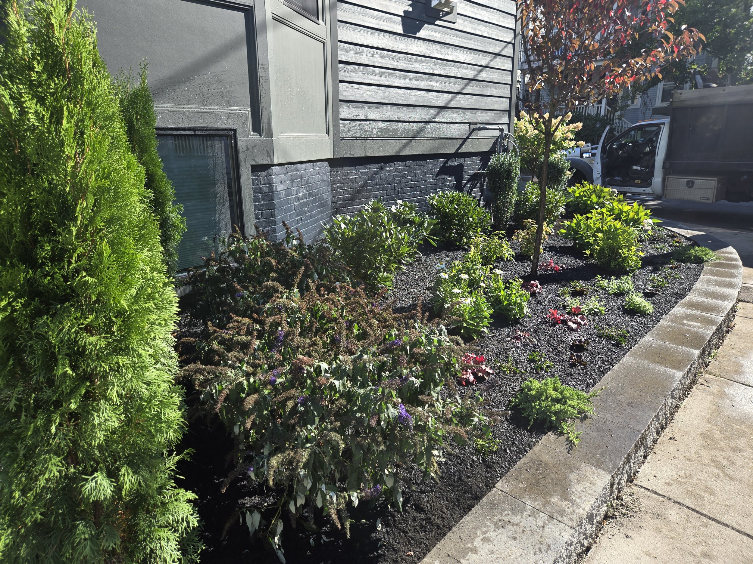 Cambridge finished_(1).jpg