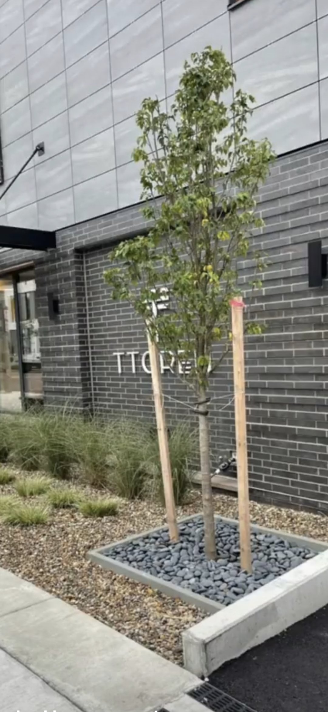 Comercial building Brighton.jpg