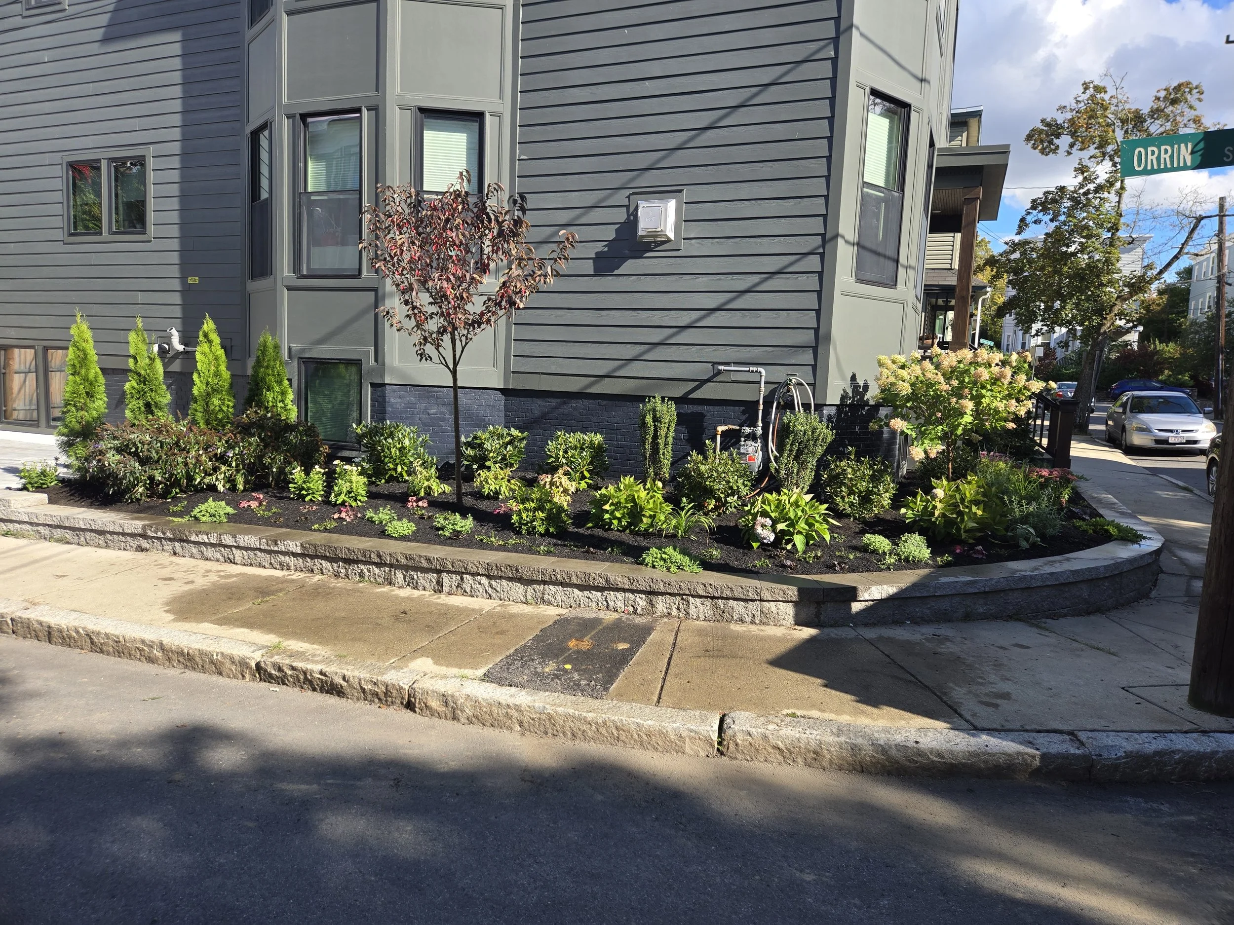 Cambridge finished_.jpg