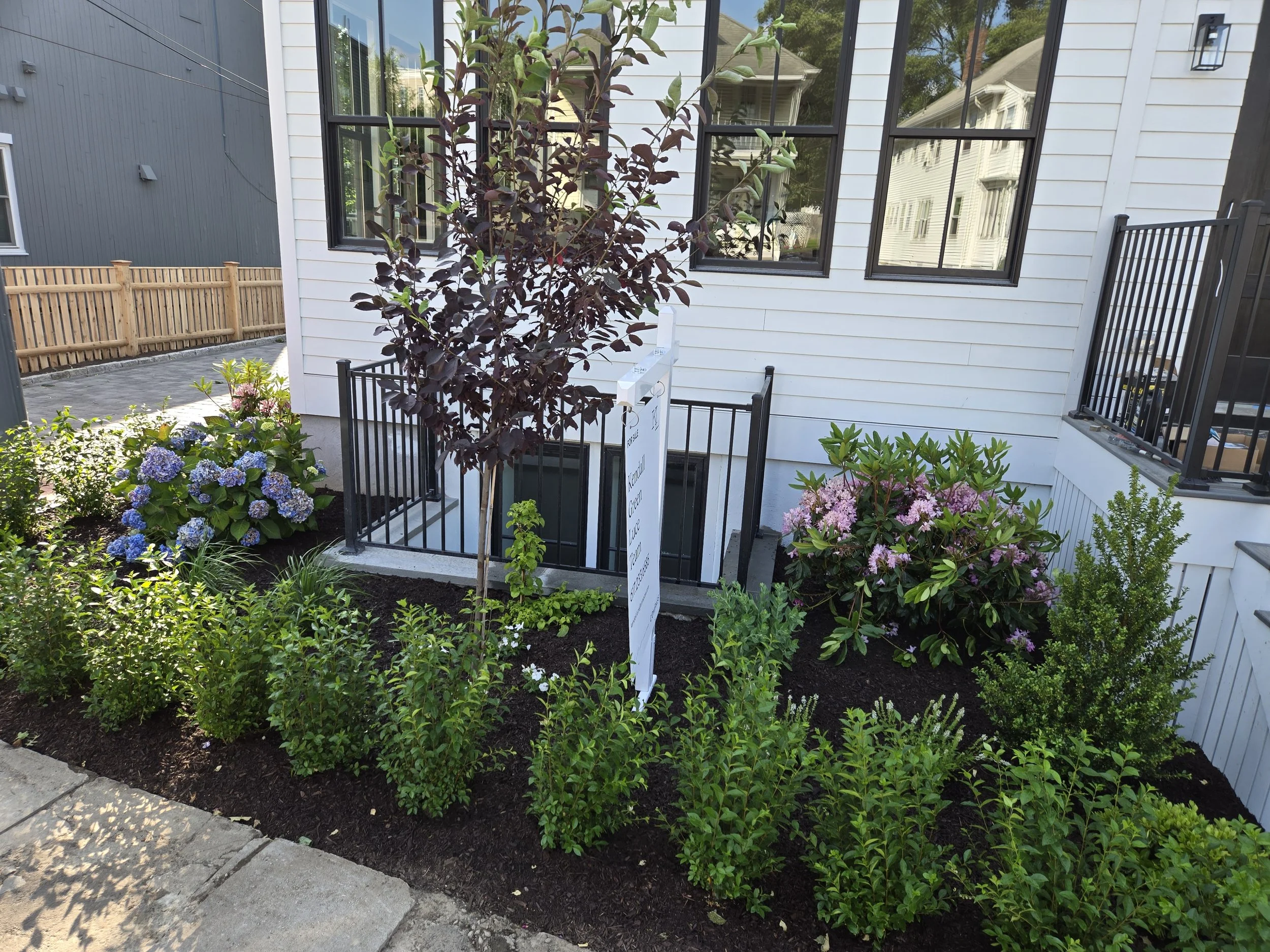 other Cambridge (2).jpg