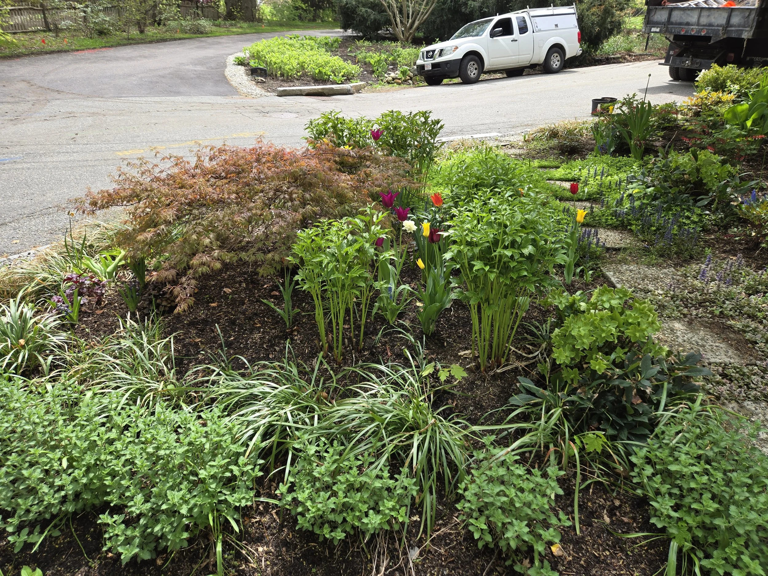 brookline random.jpg