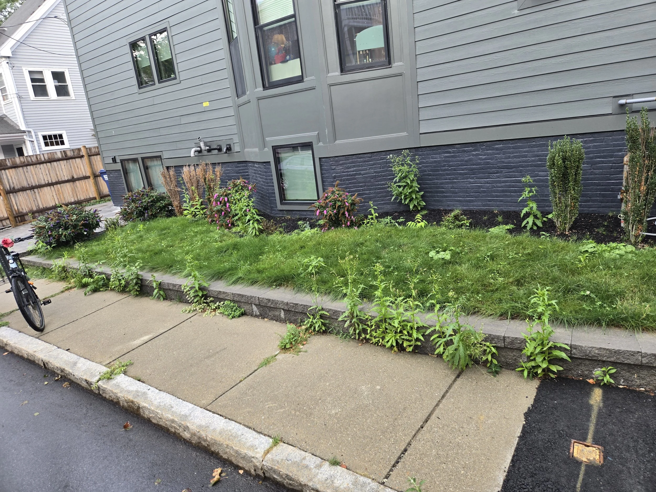 Cambridge b4 #2_.jpg