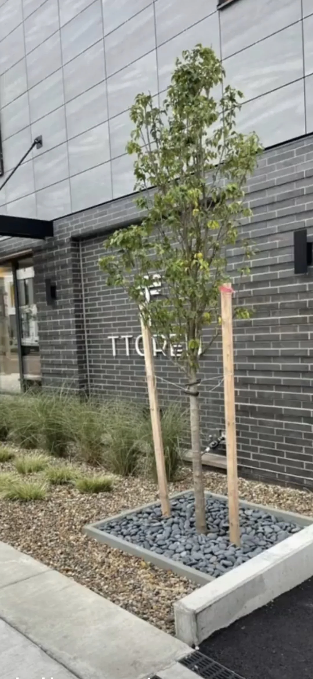 Comercial building Brighton.jpg