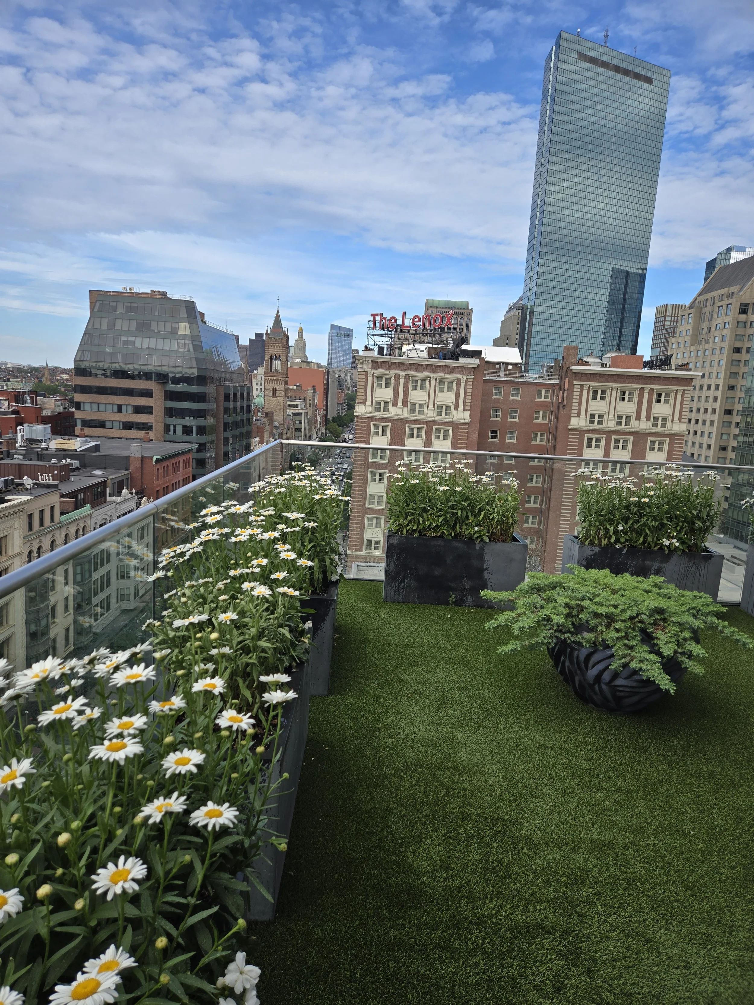 Interior and rooftop Mandarin o_.jpg