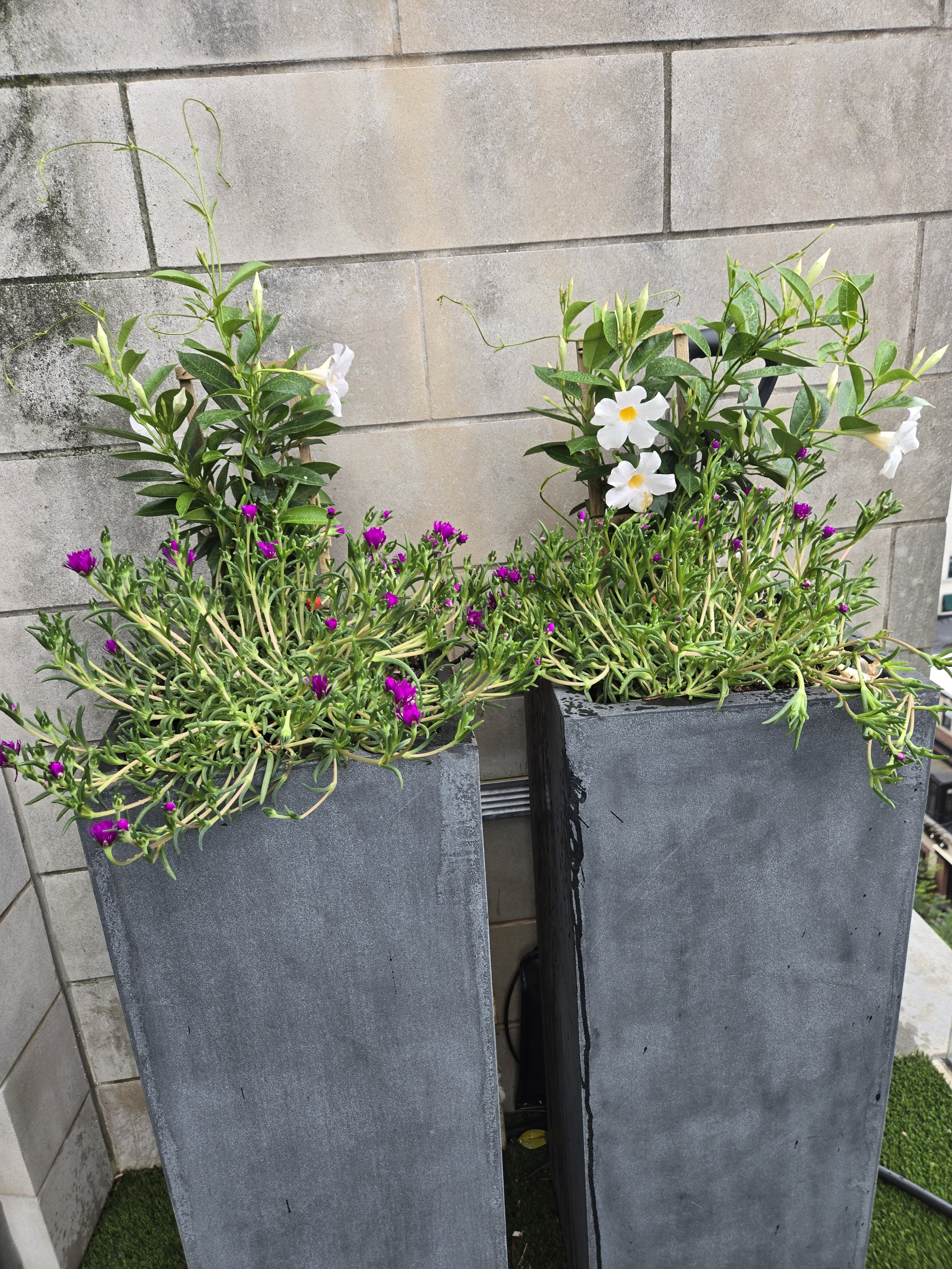 Interior and rooftop 7_.jpg