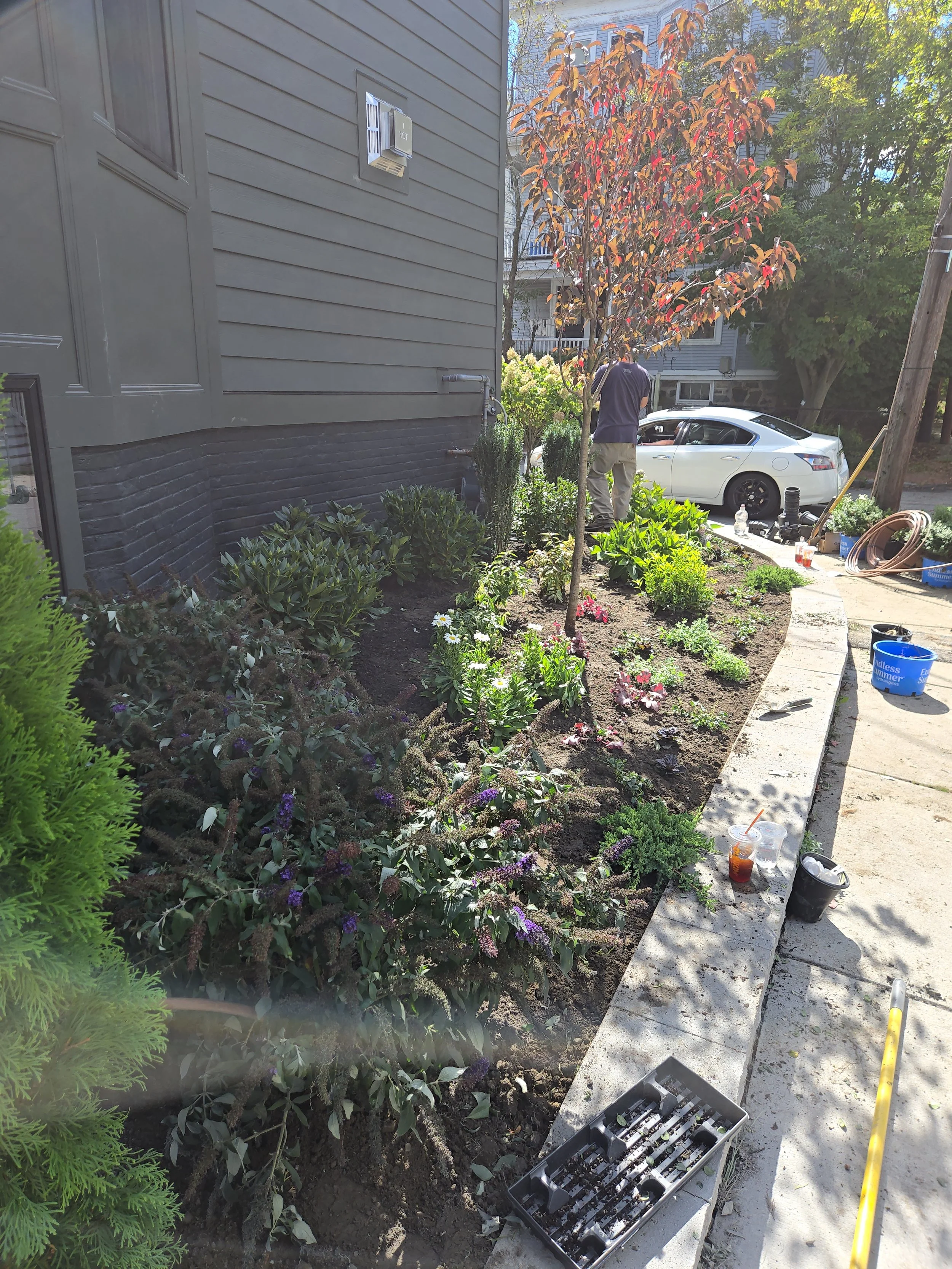 Cambridge during.jpg