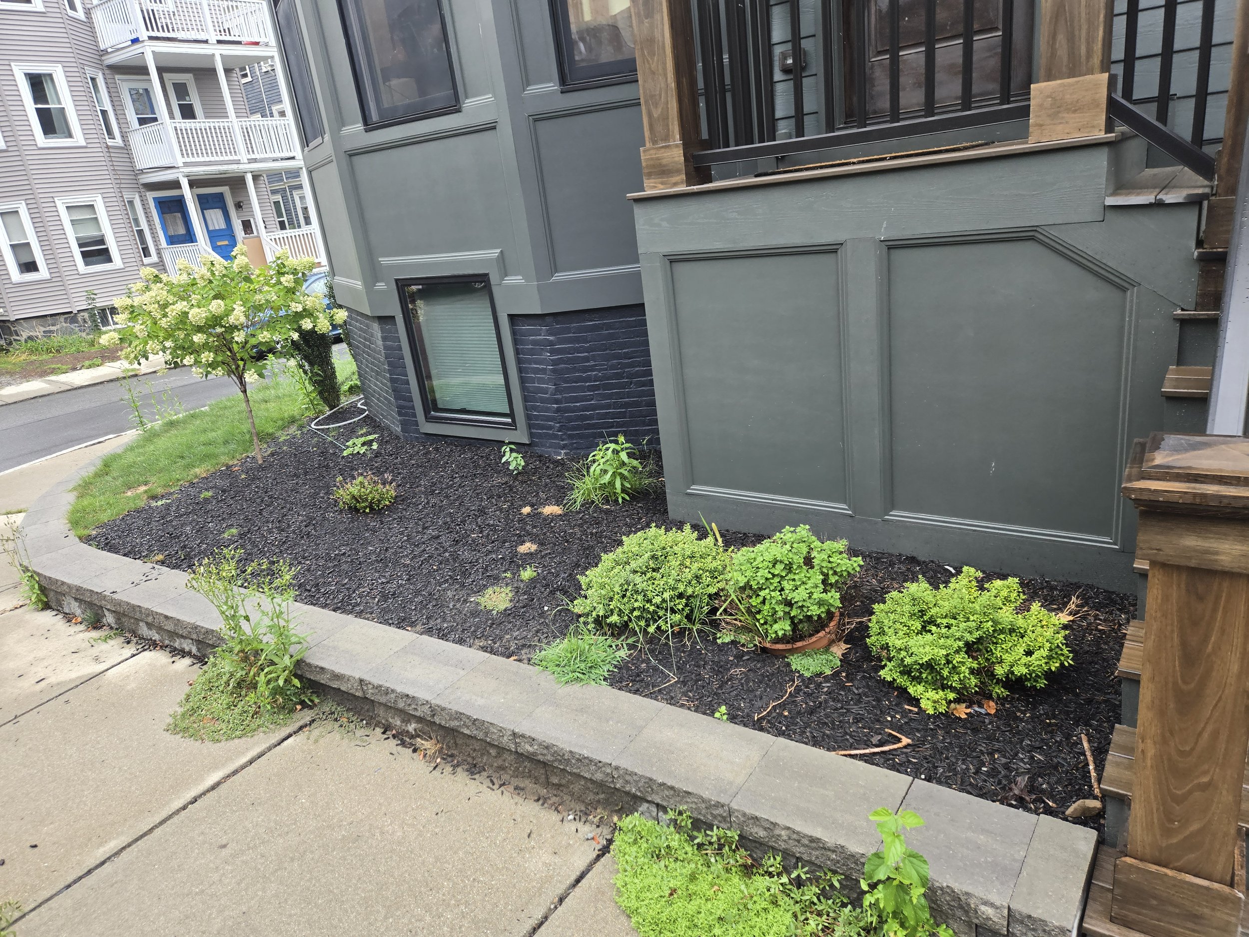 Cambridge before_.jpg