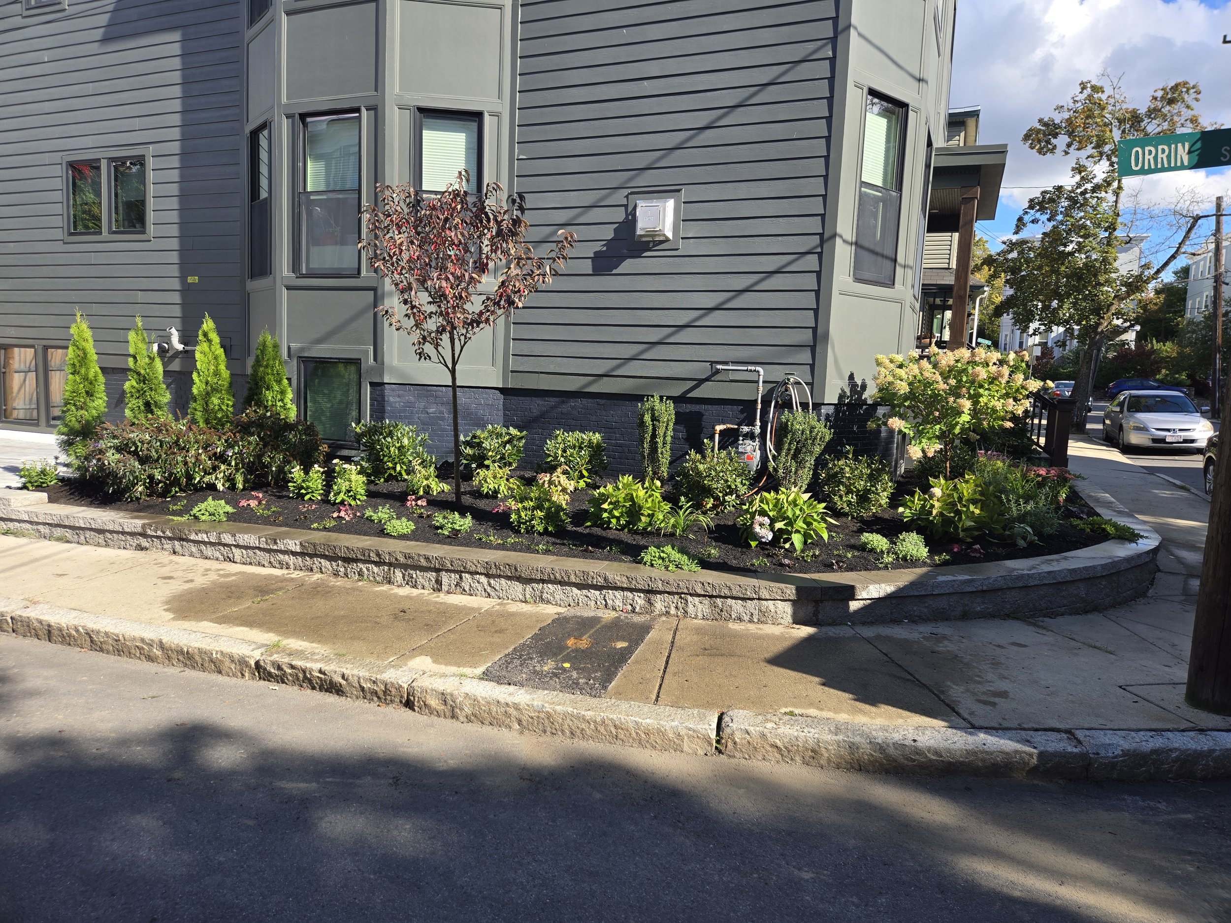 Cambridge finished_.jpg