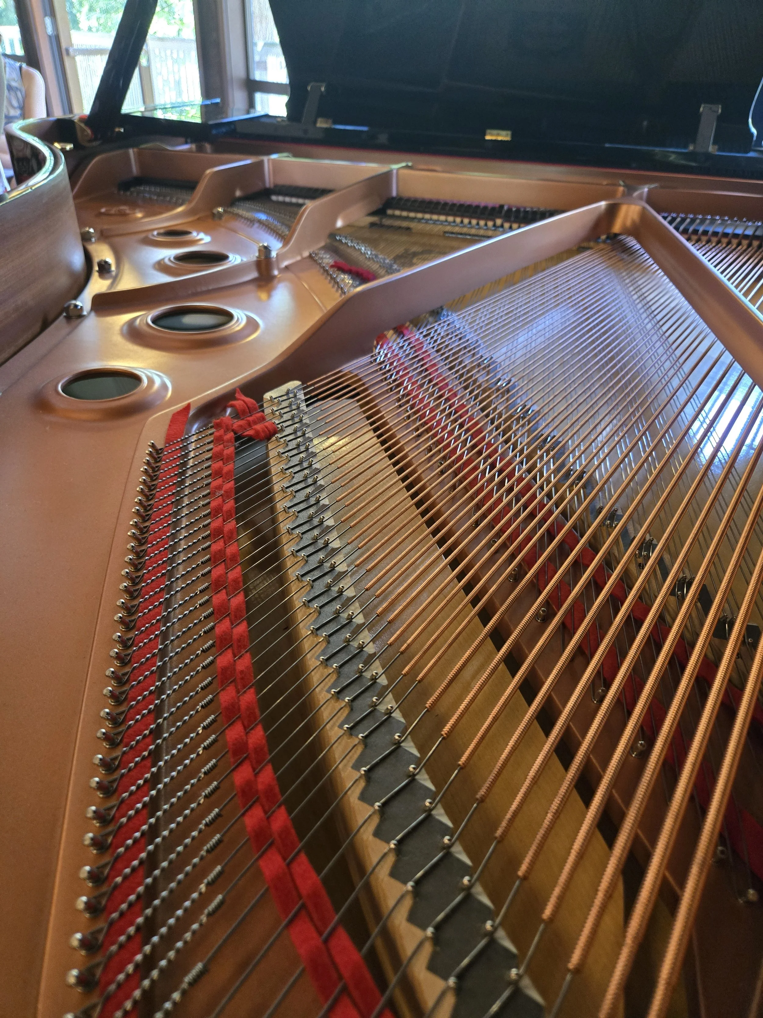 Parents Ask Pam About Starting On A Digital Vs. Acoustic Piano - Mozart’s Memo - Volume 70