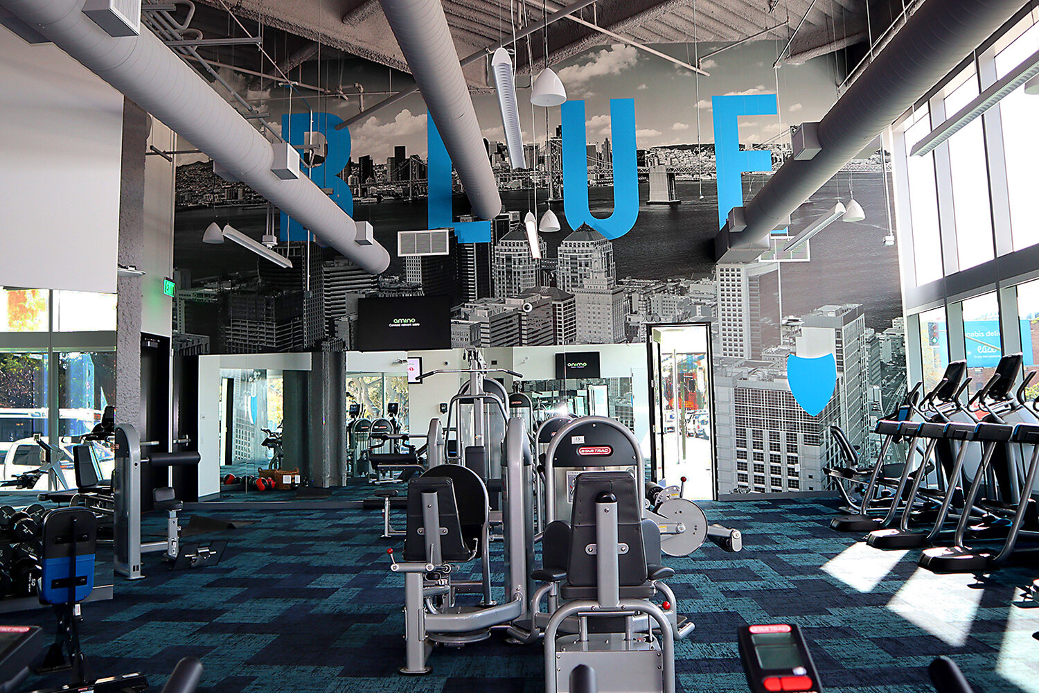 Oakland, CA – Corporate headquarters fitness center photo mural