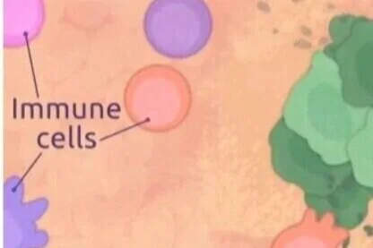 Step 3 : We were born to fight cancer