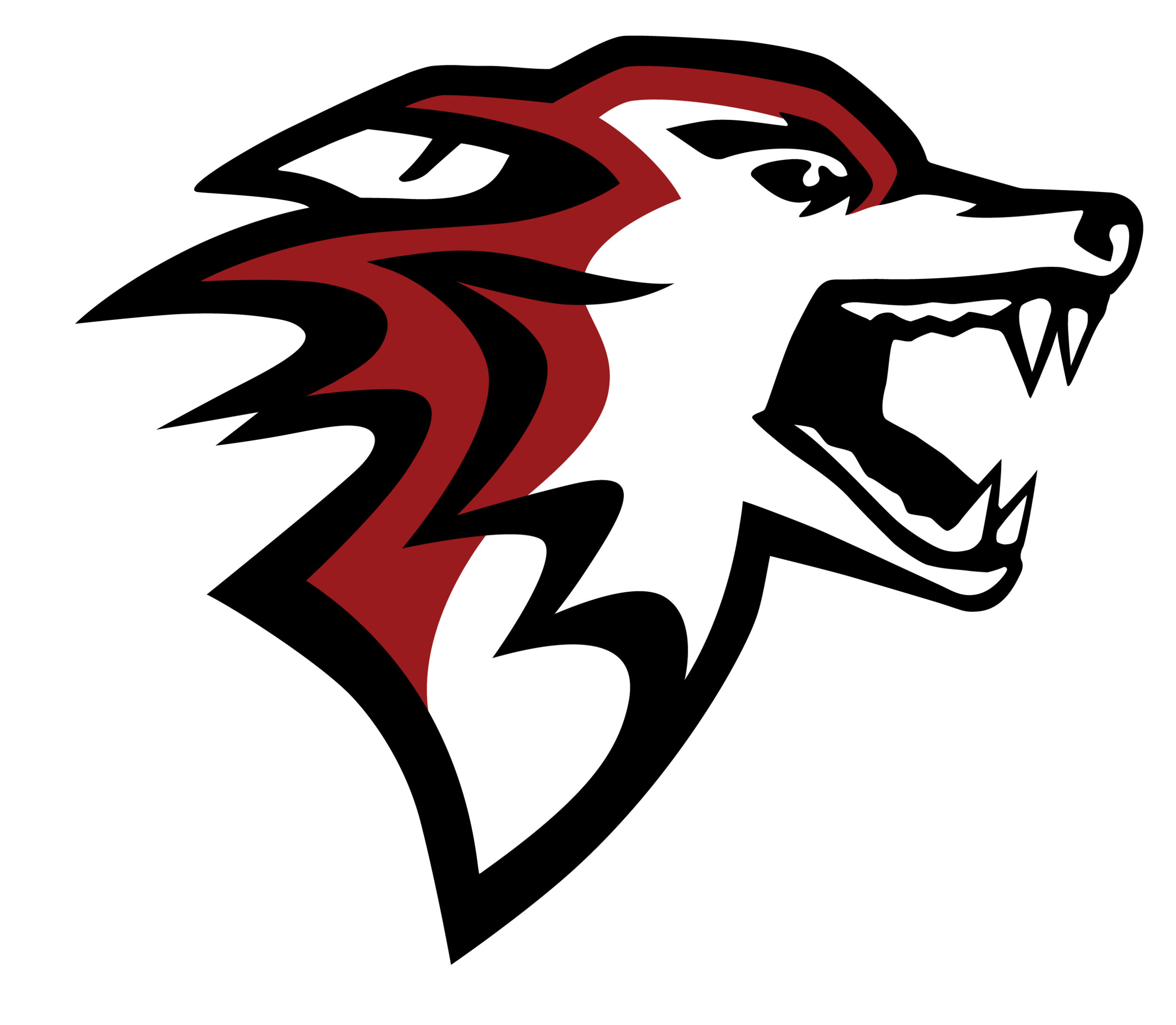 2026 Player Enrollment