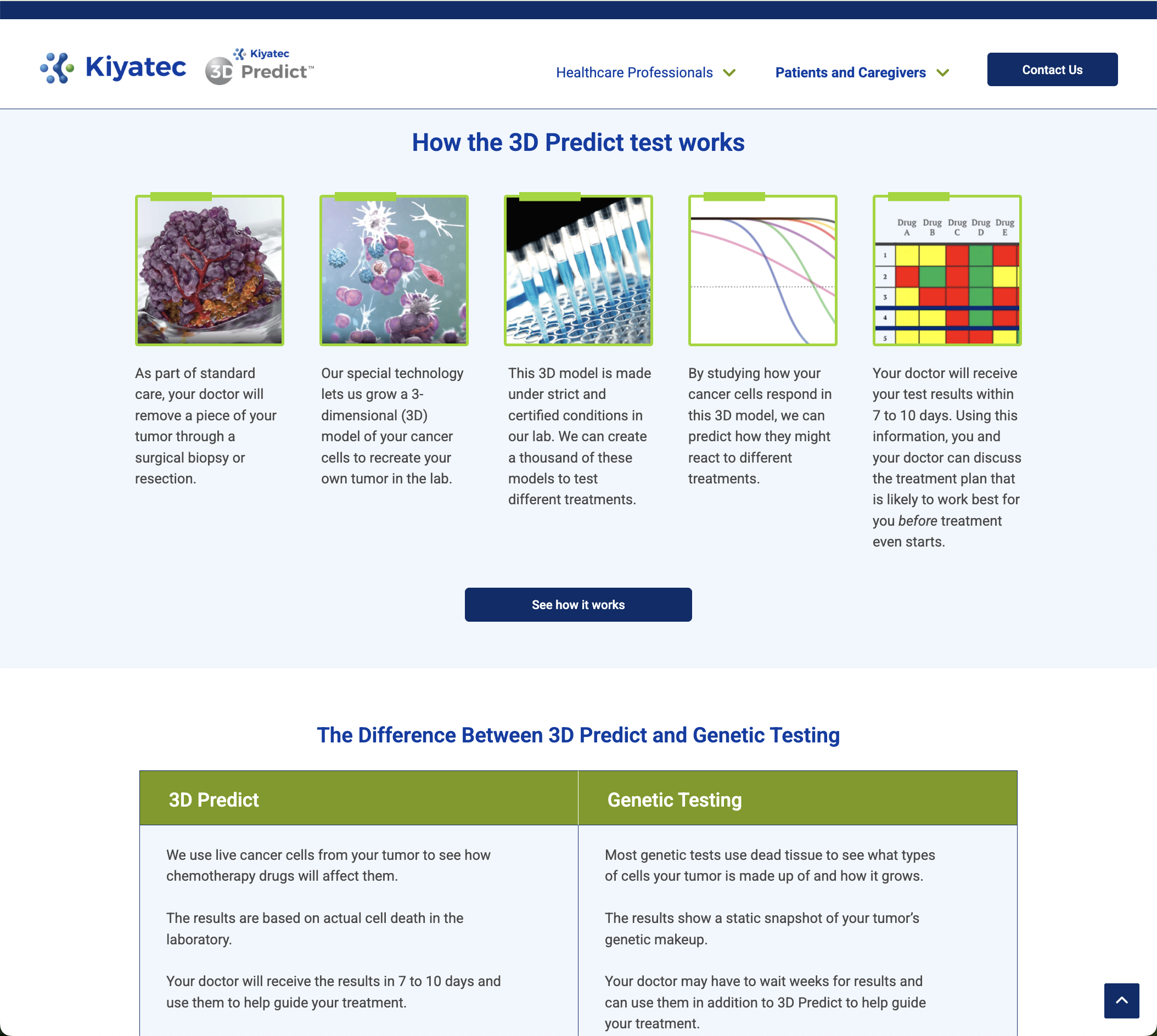 Website-5.png