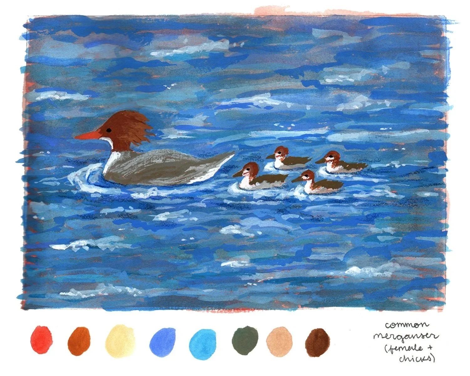 merganser+ducks+for+insta.jpg