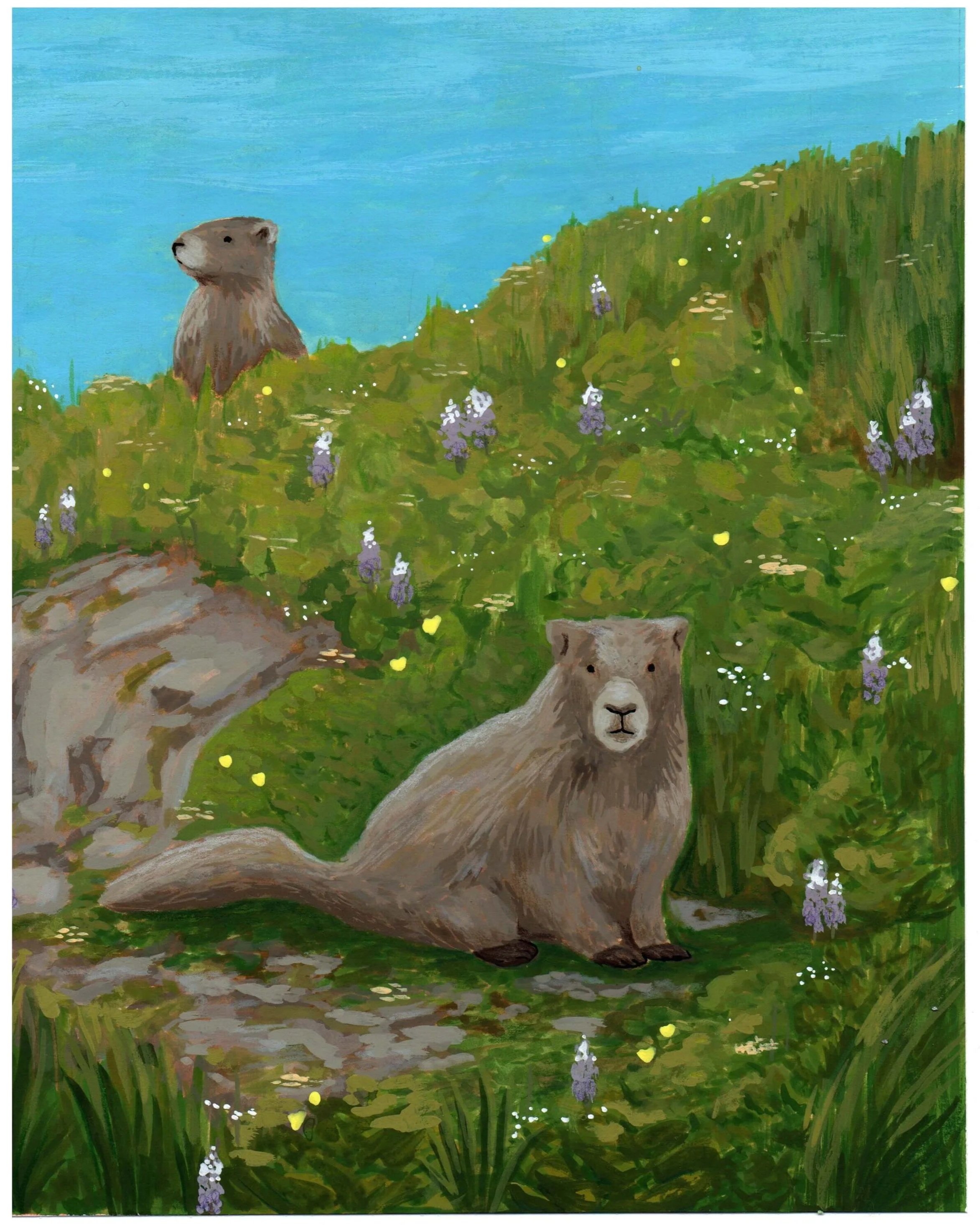 marmots.jpg
