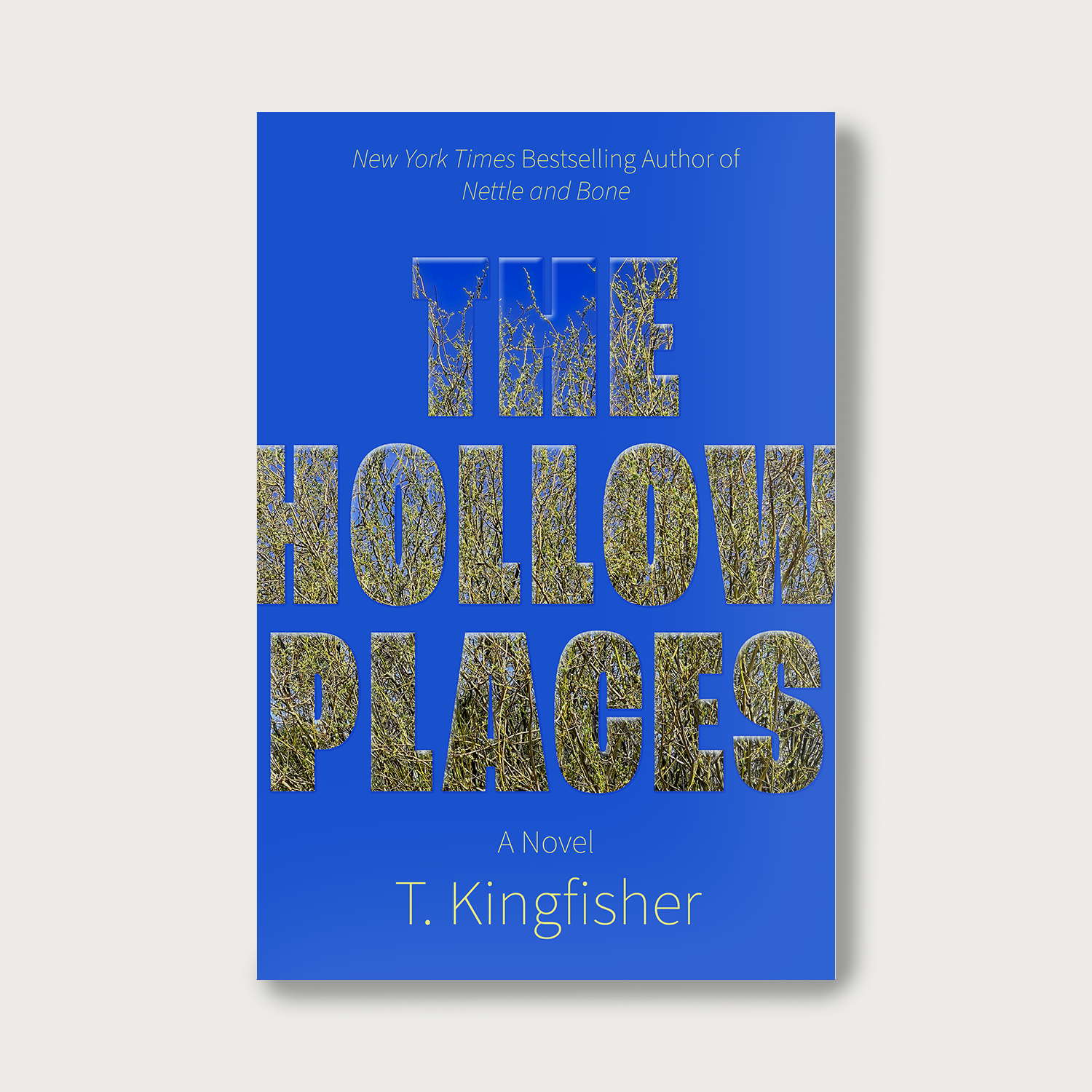 the hollow places 2.png