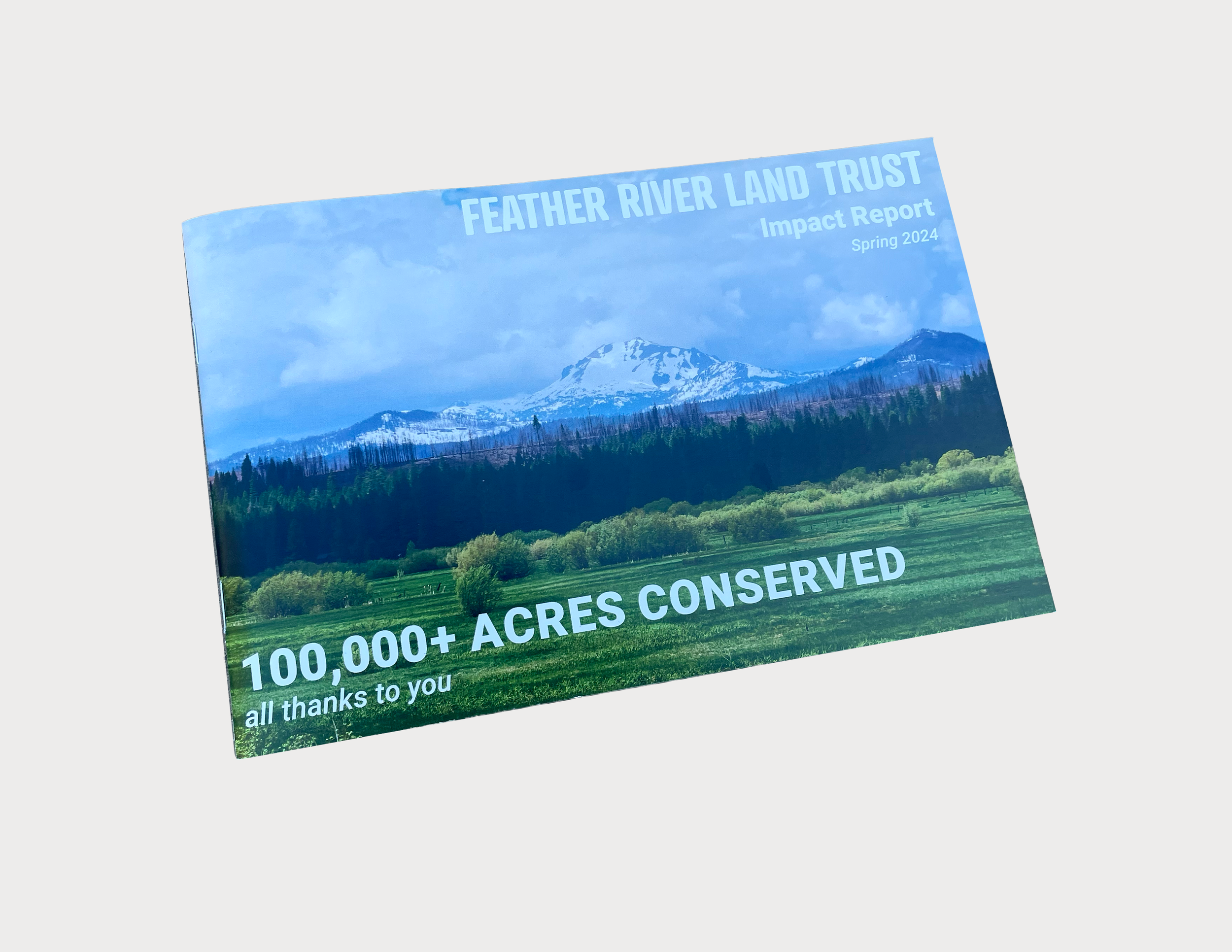 portfolio 2 frlt-3.png