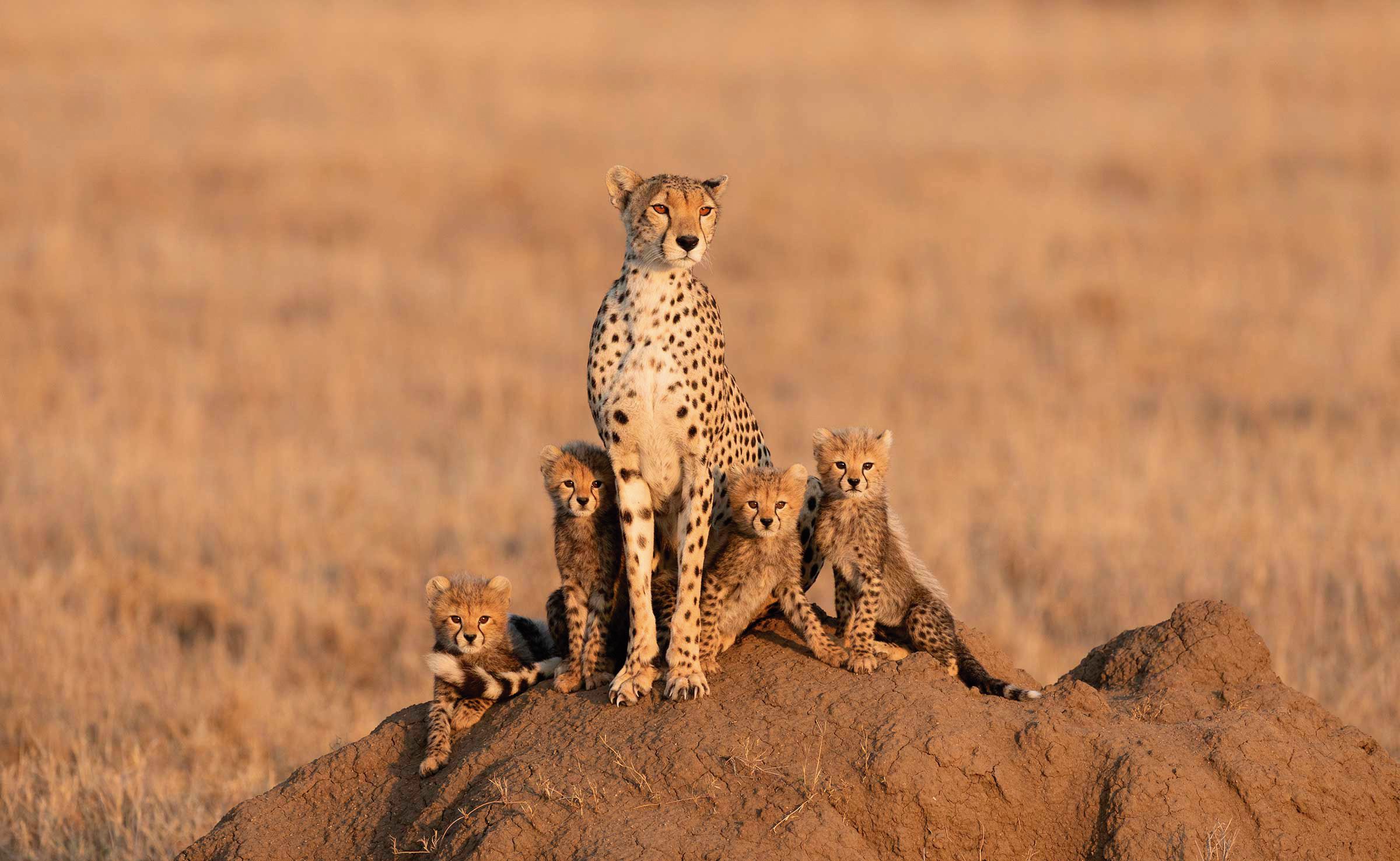 MARA_RIVER_4.png