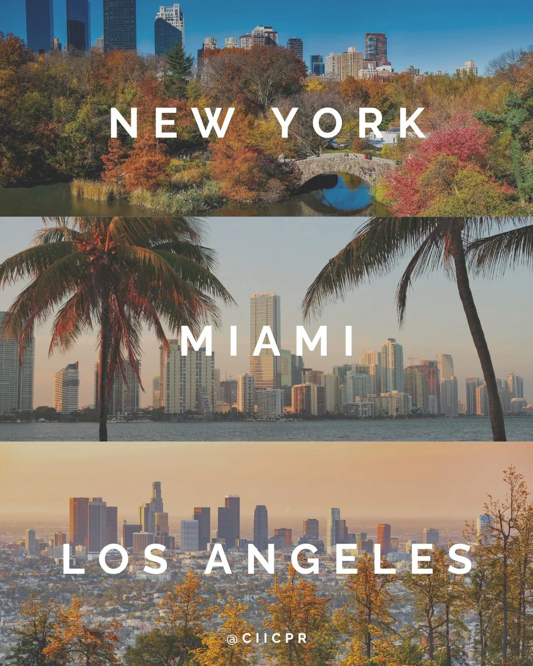 Cada temporada trae consigo un cambio: en la mentalidad, en el impulso y en el movimiento.

Tres destinos. Un único camino hacia adelante.

#NuevaYork #Miami #LosÁngeles #TravelPR #CIICPR