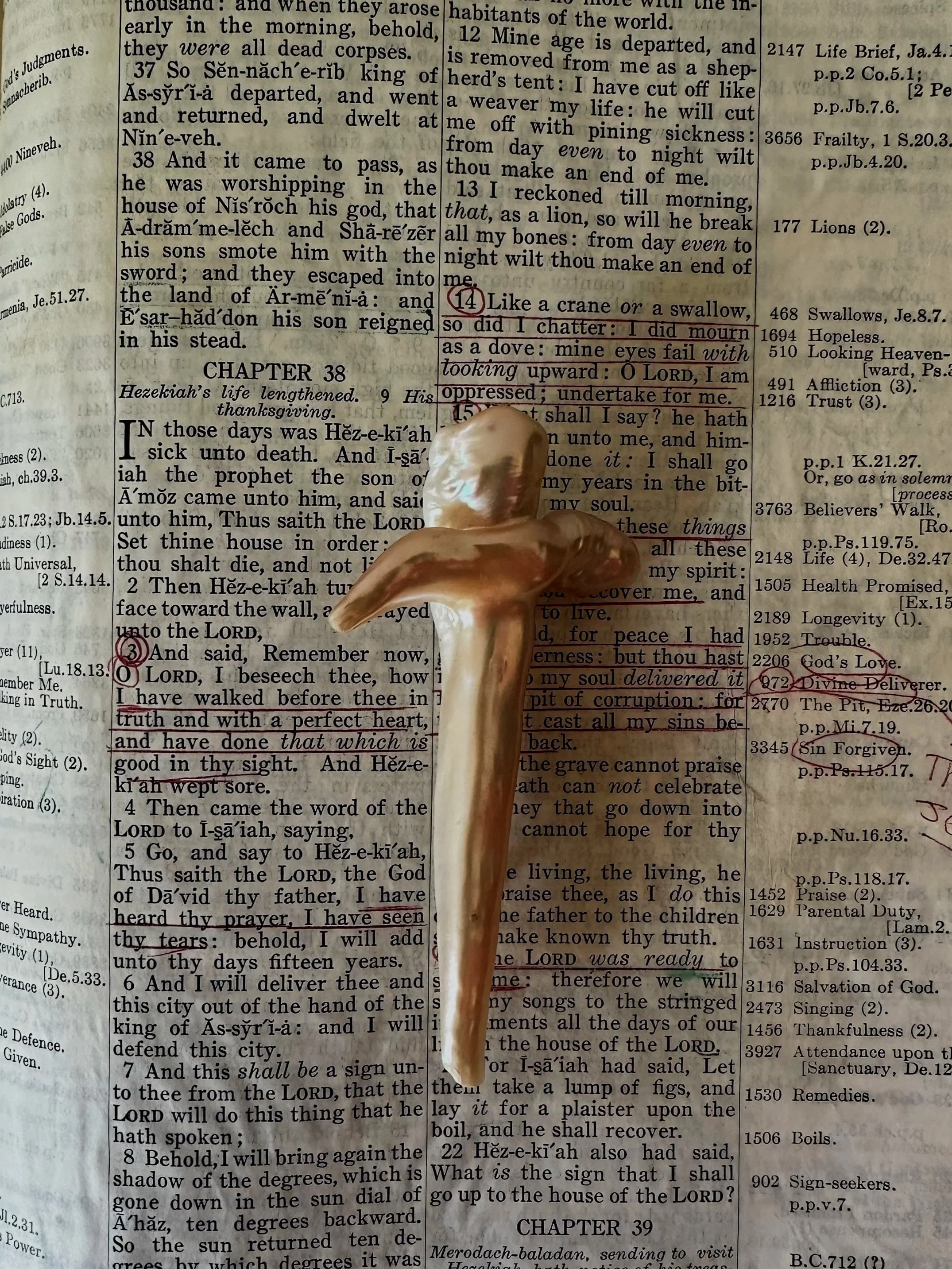 IMG_2899.jpg