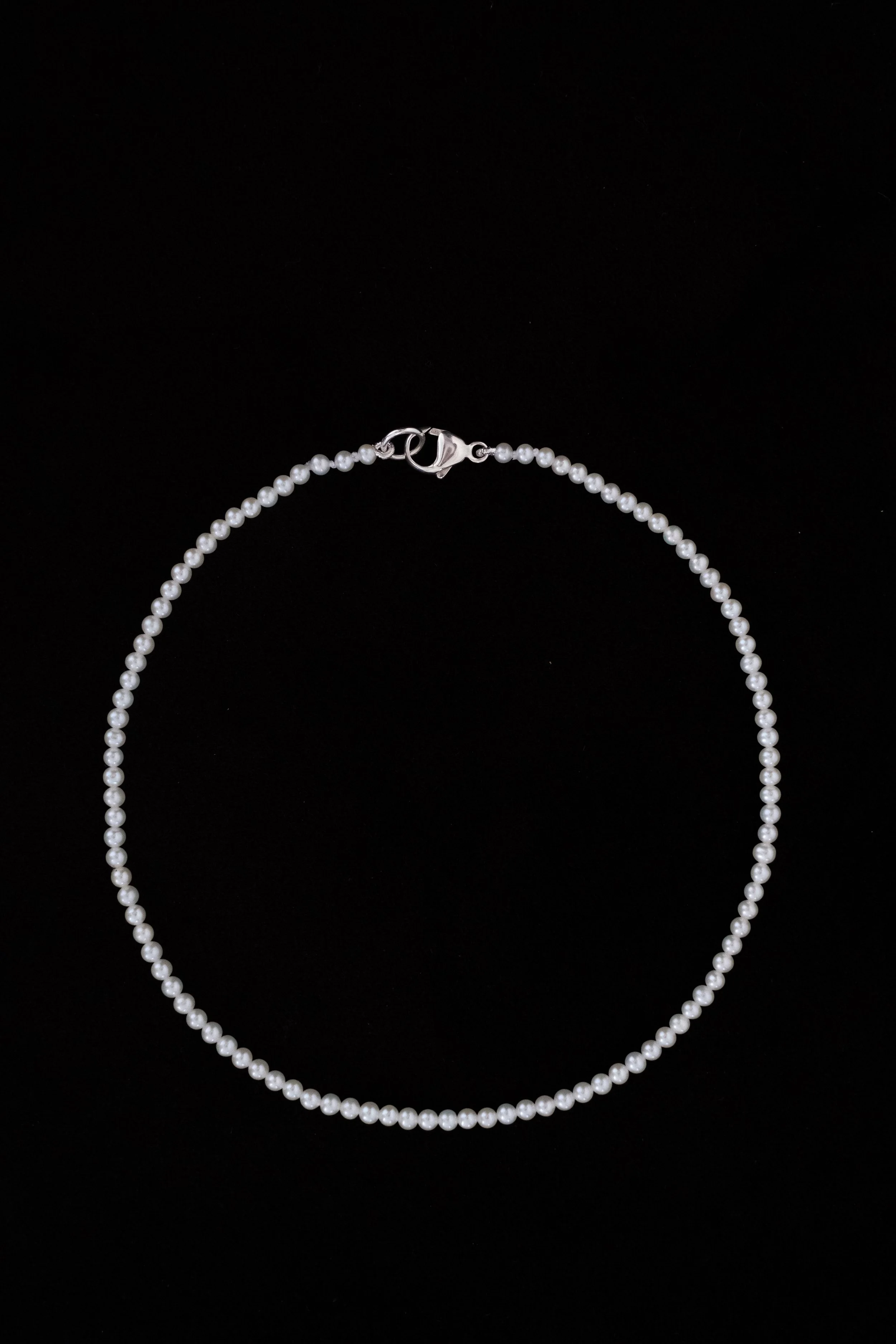 DSCF9348.jpg