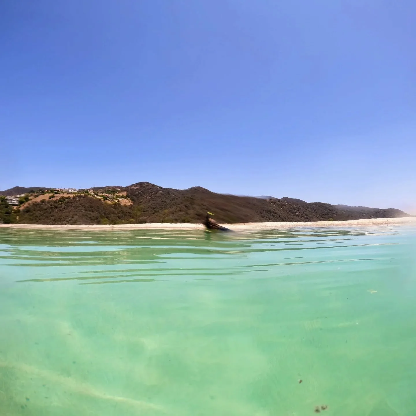 Adult summer just started 😎🫶🐬

#justsavewater💦