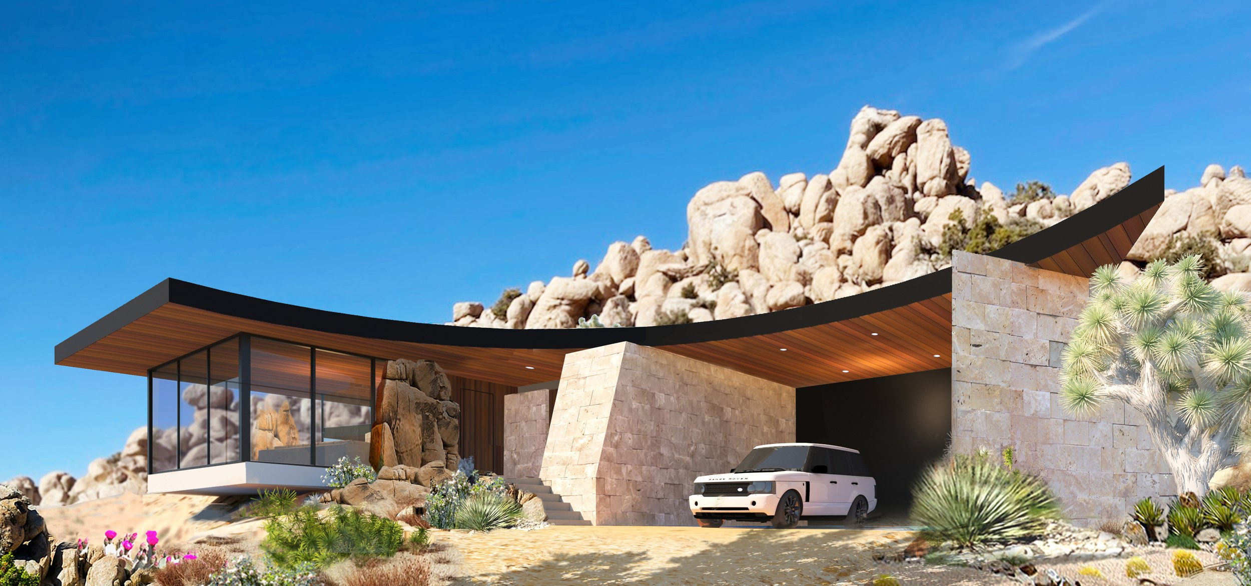NELSON | Joshua Tree