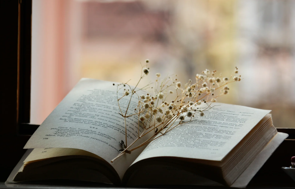 Poetry, Loss, and Hope with Susan Alexander