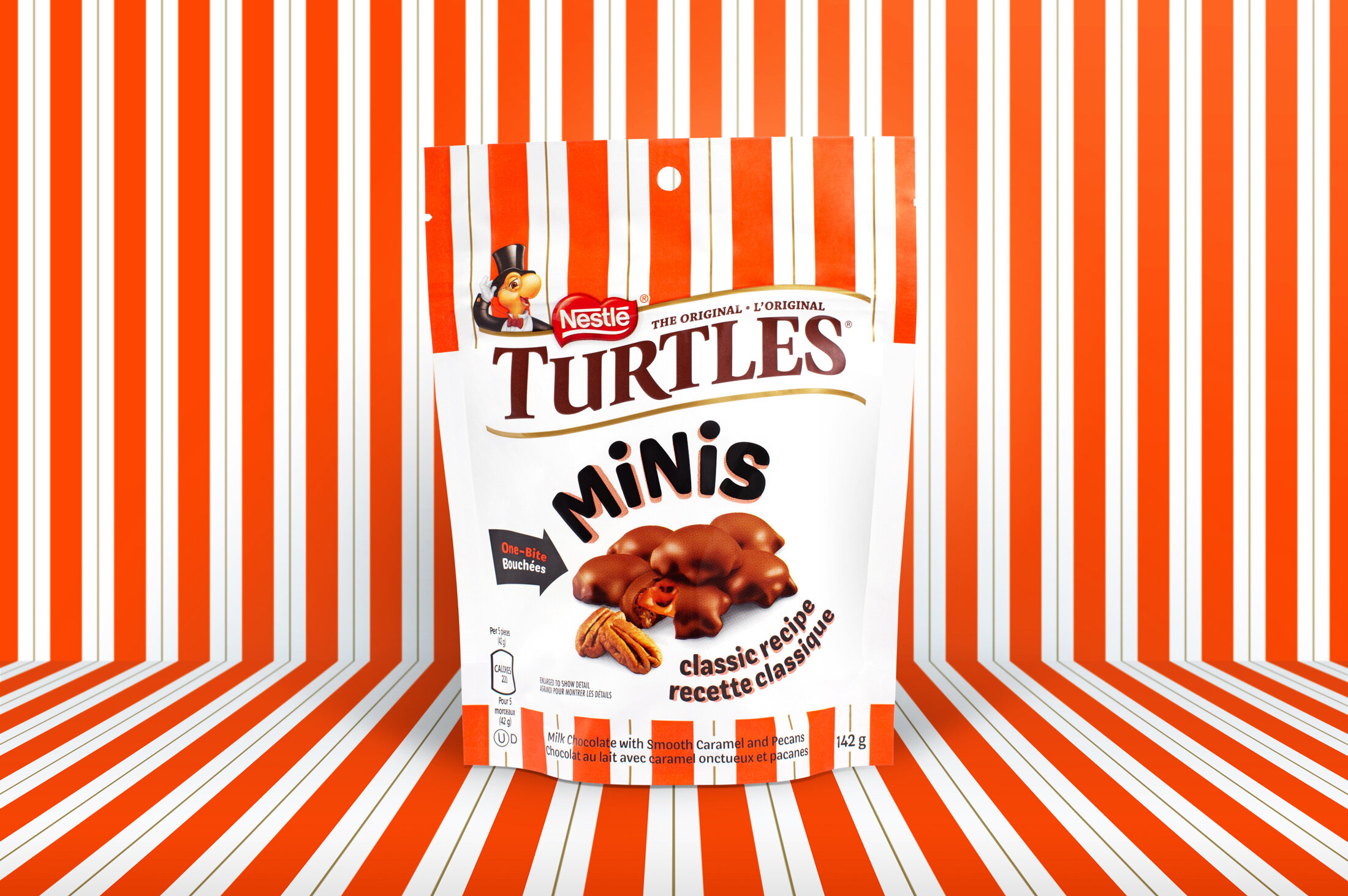 Turtle_B.jpg