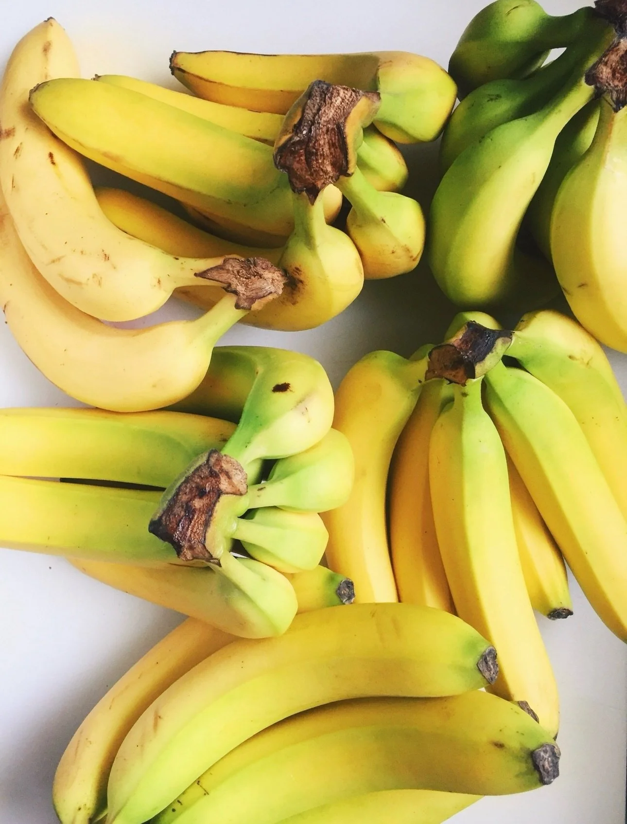 a decade later but we&rsquo;re still barefoot building stores 😎