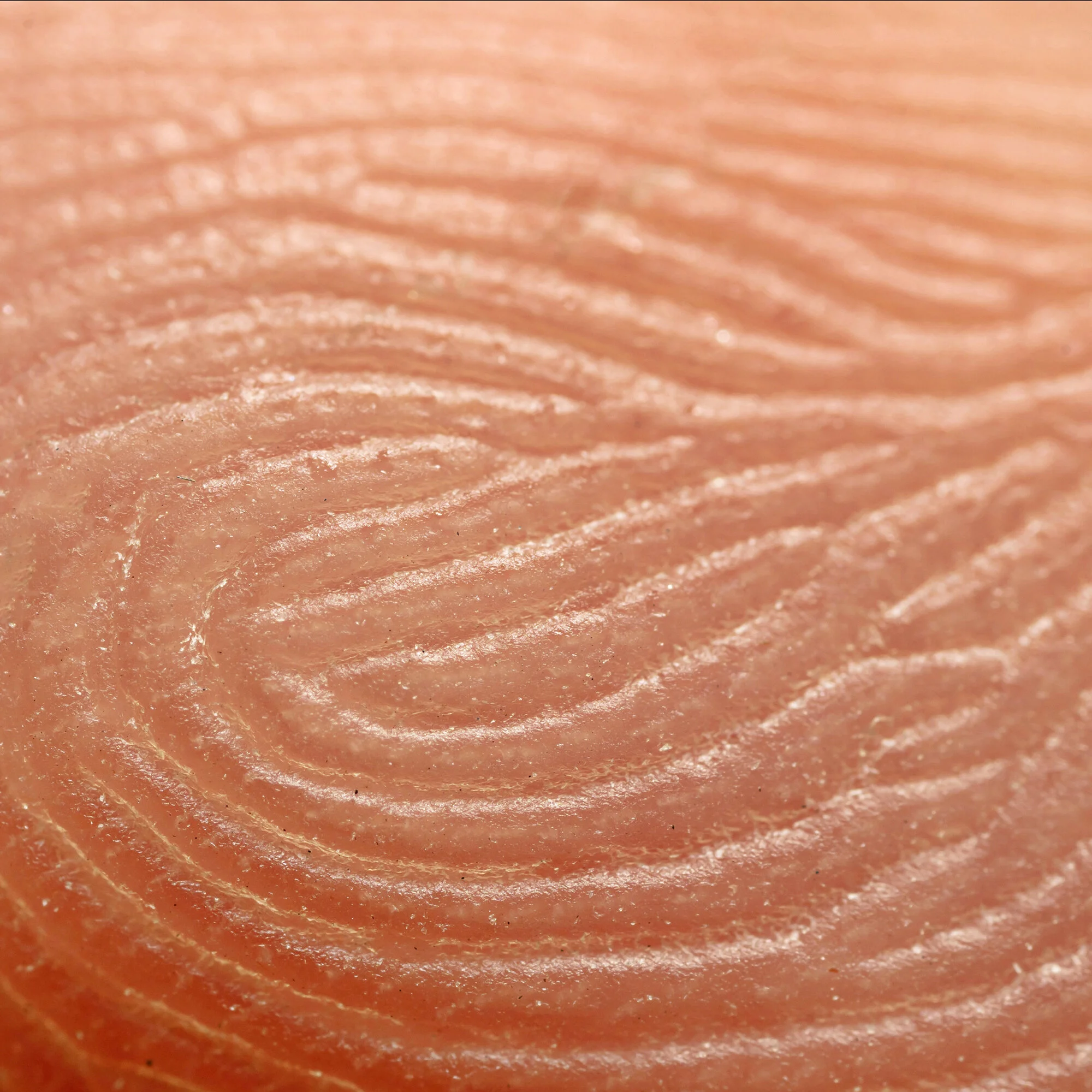 Fingerprint