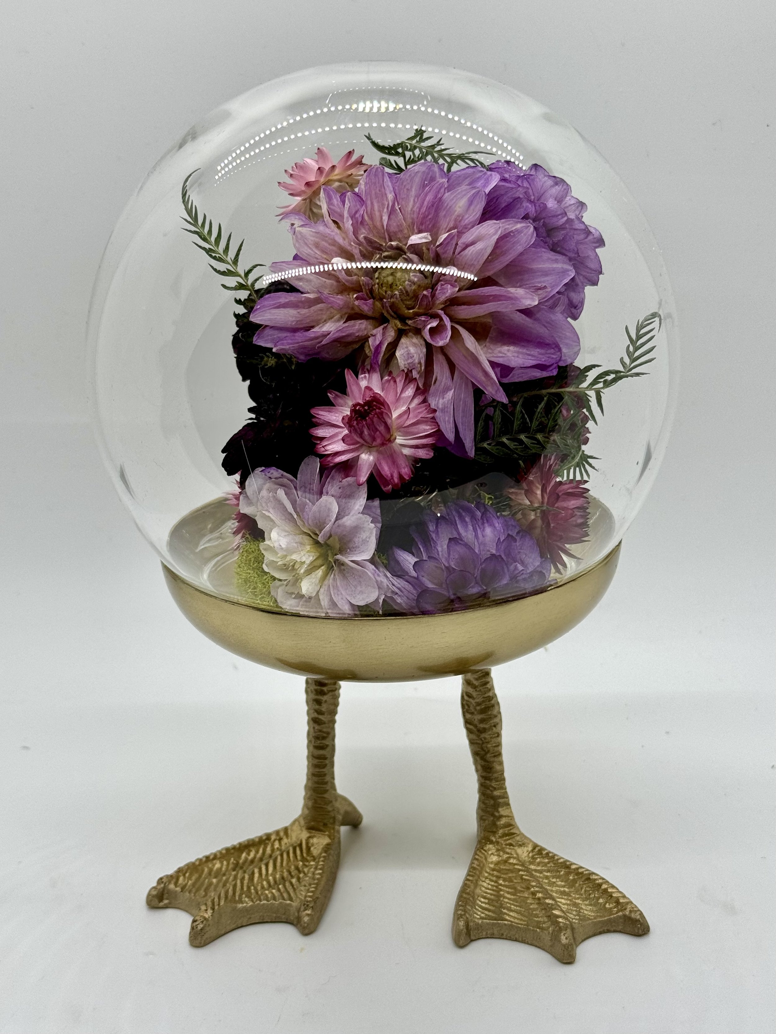 Dahlia Duck