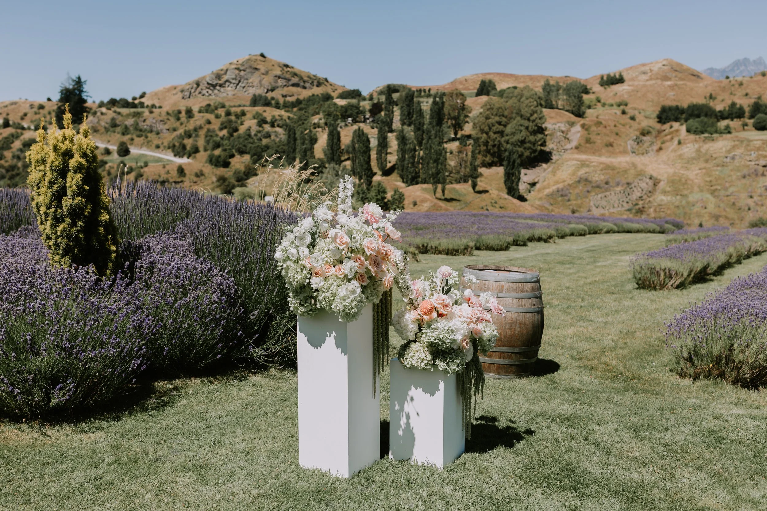 LisaandCallum-Ceremony-CharlotteKiriPhotography-8.jpg