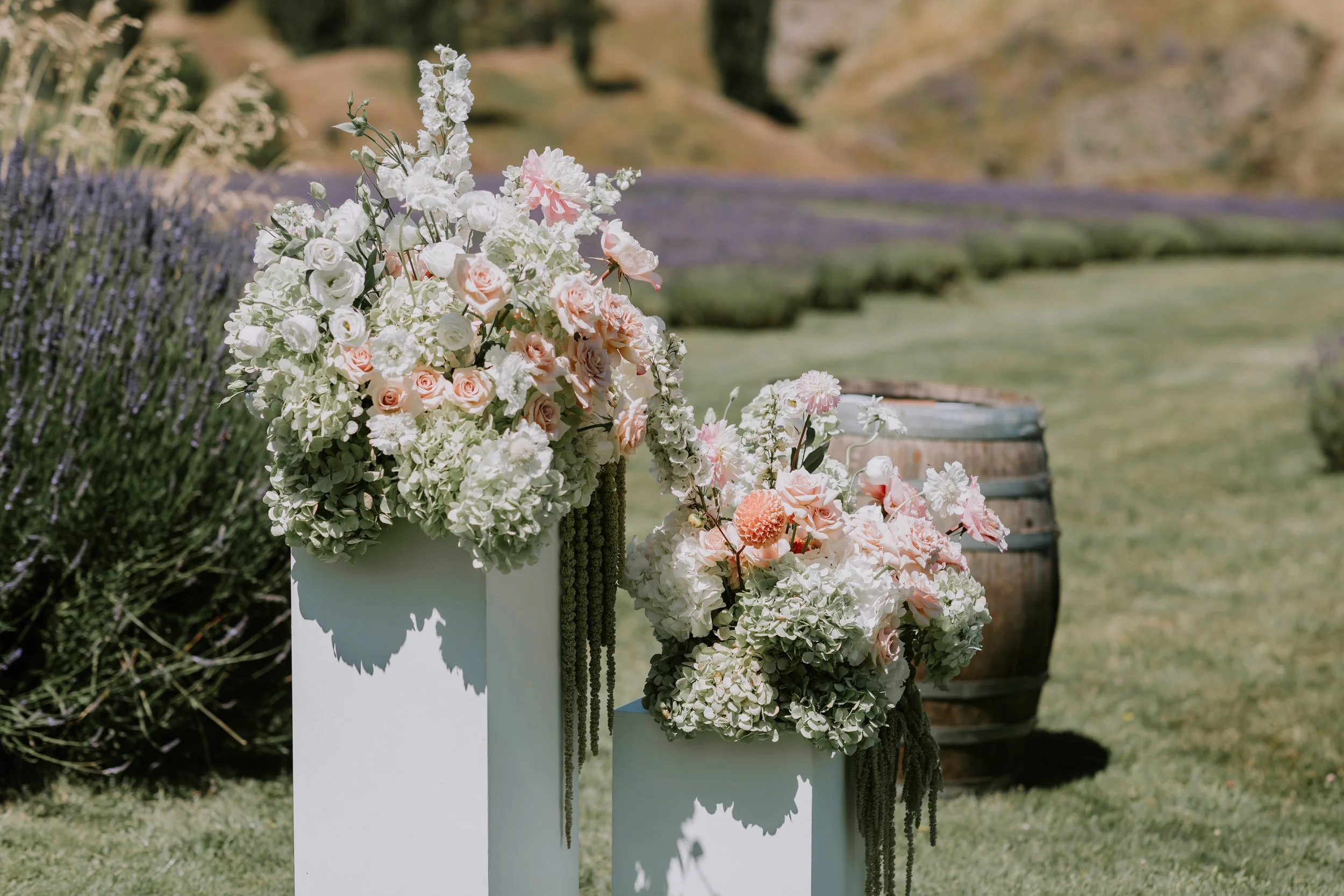LisaandCallum-Ceremony-CharlotteKiriPhotography-6.jpg