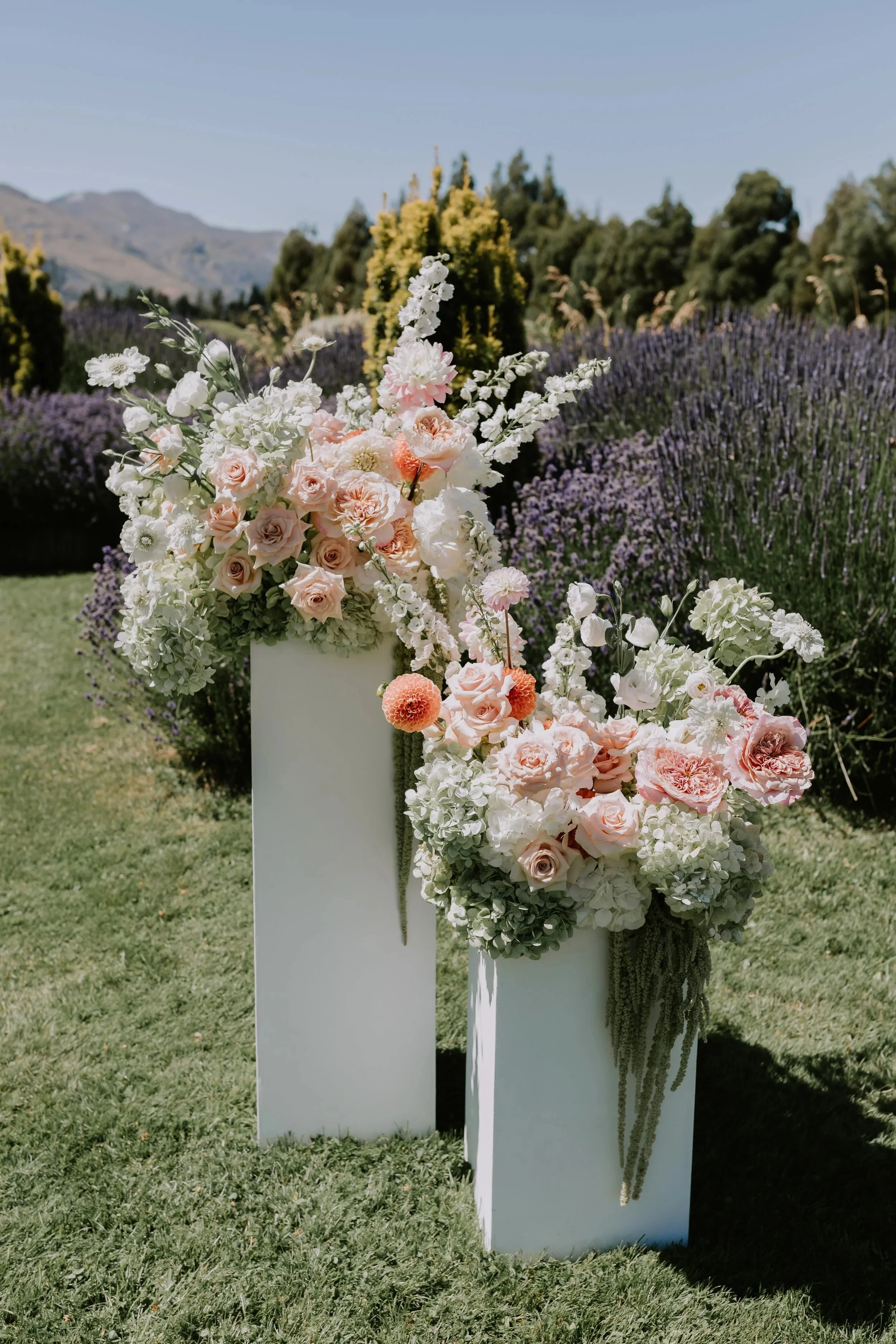 LisaandCallum-Ceremony-CharlotteKiriPhotography-3.jpg