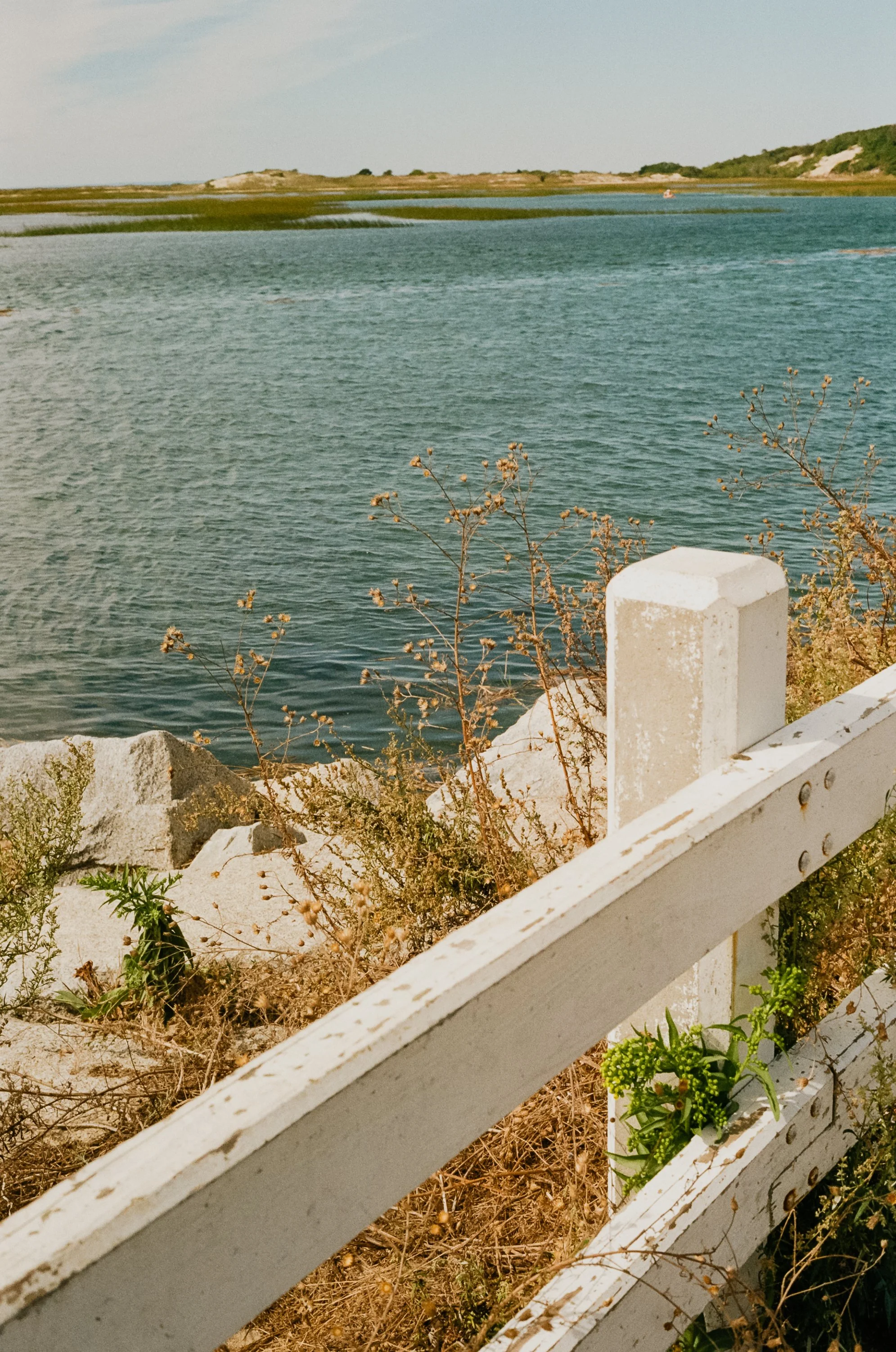 Analog_CapeCod_Squarespace-8.jpg