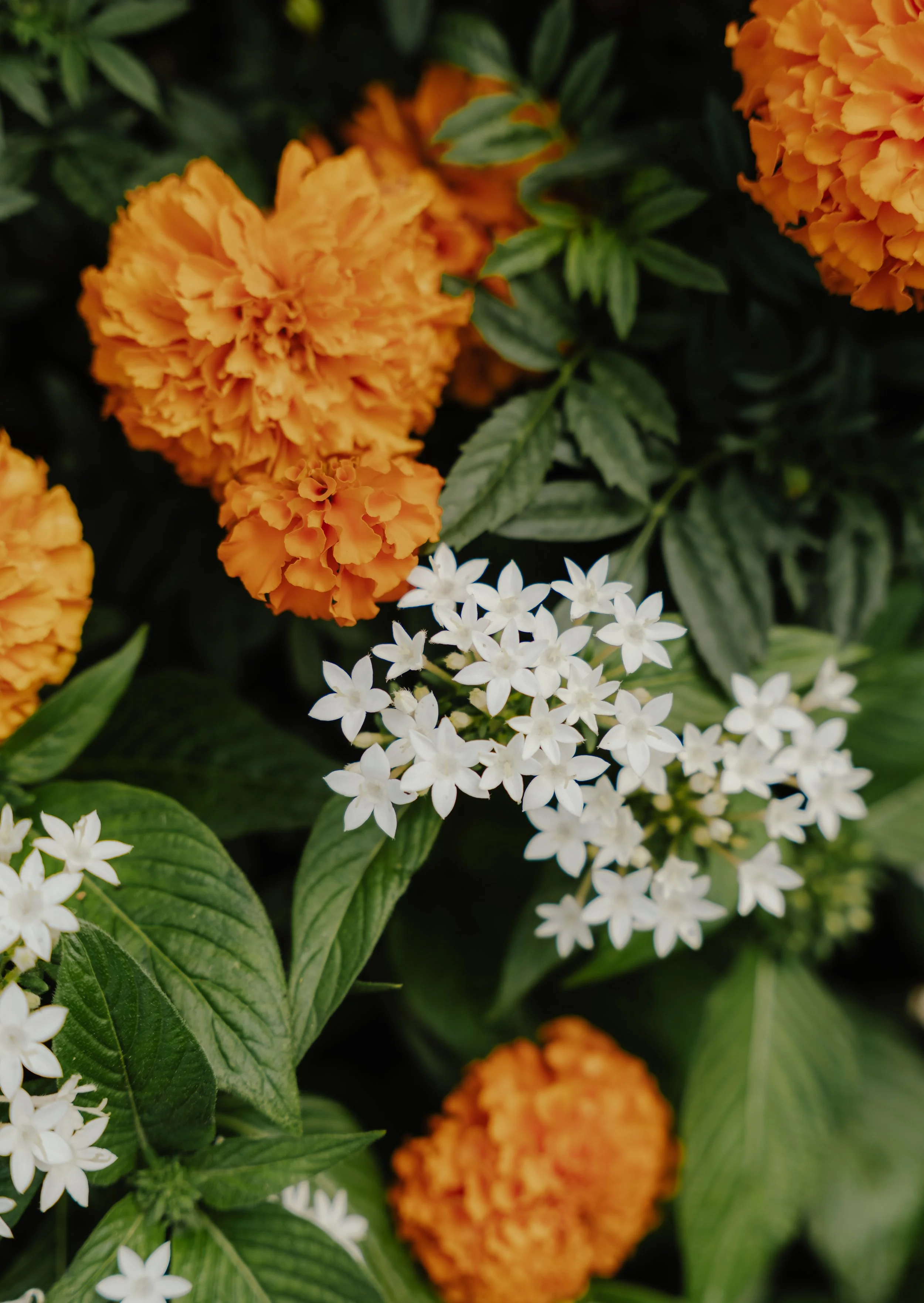 Squarespace_TheNewburyBoston-9.jpg