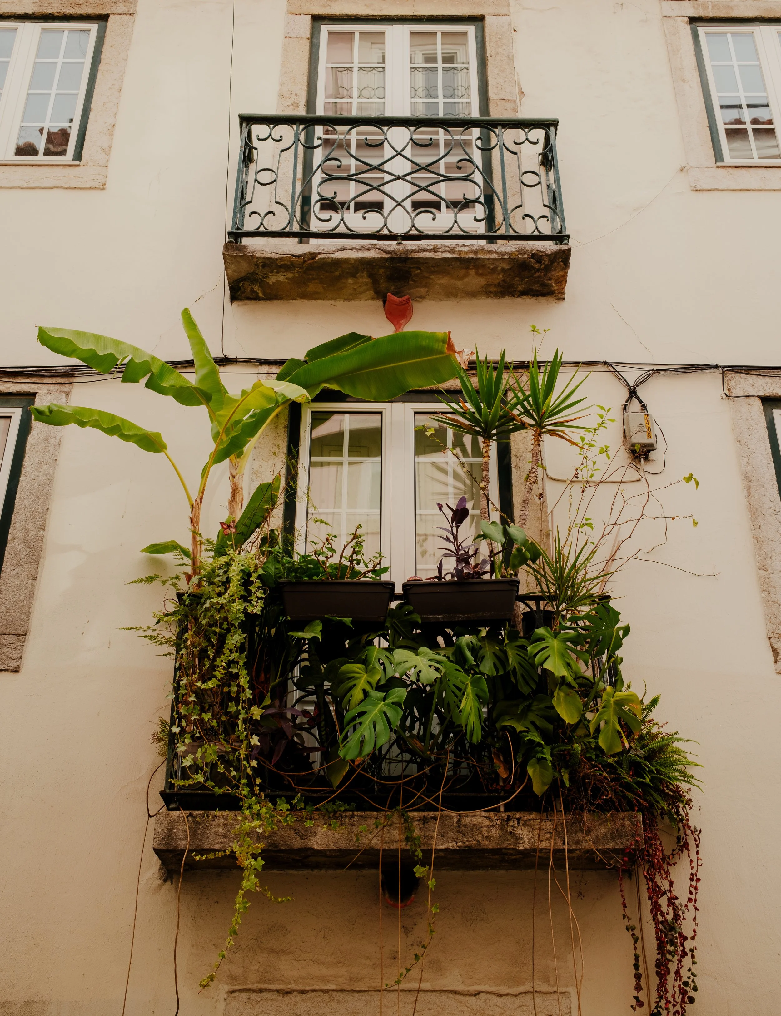 Squarespace_Portugal2026-34.jpg