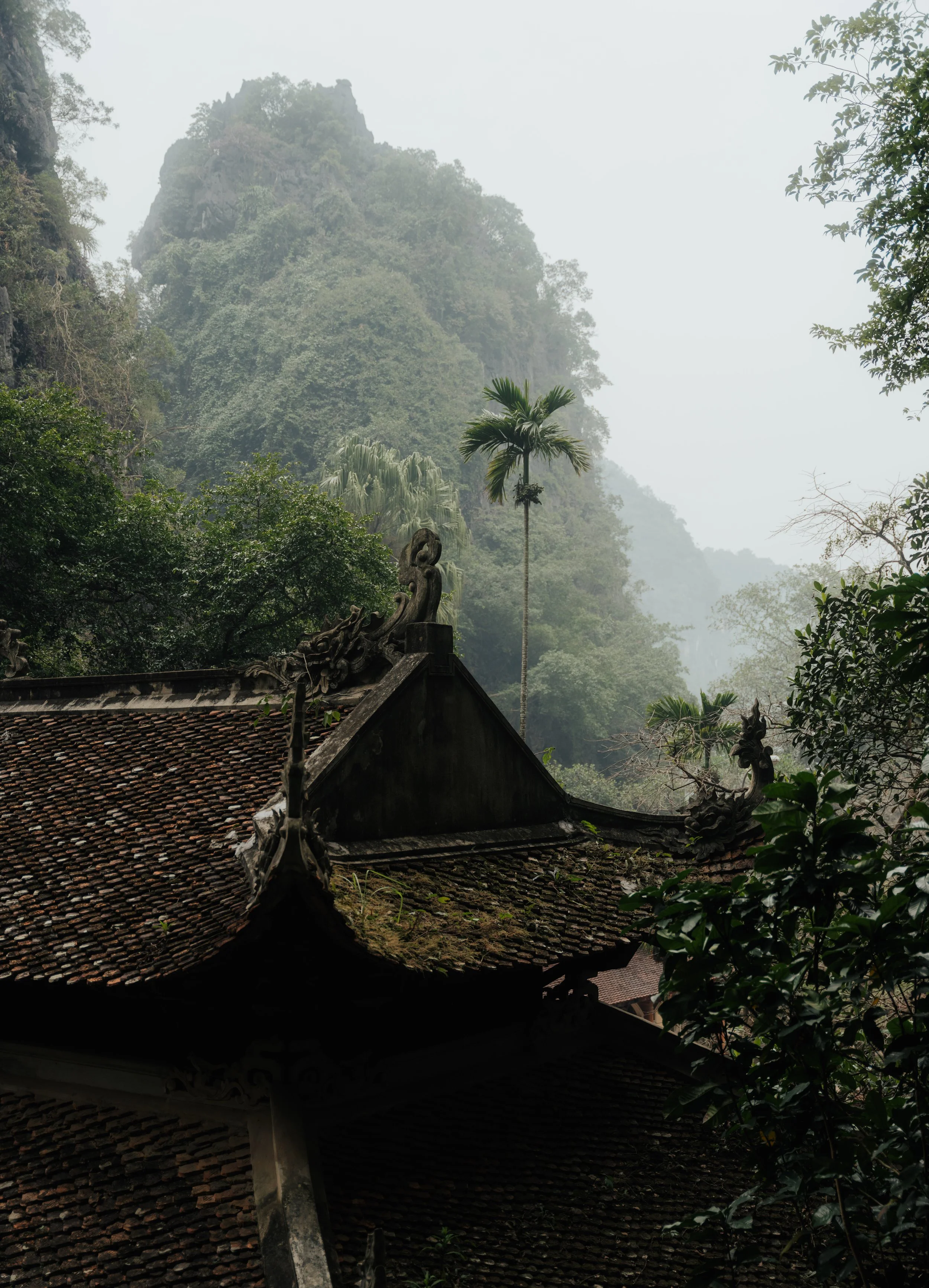 Squarespace_Travel-7.jpg