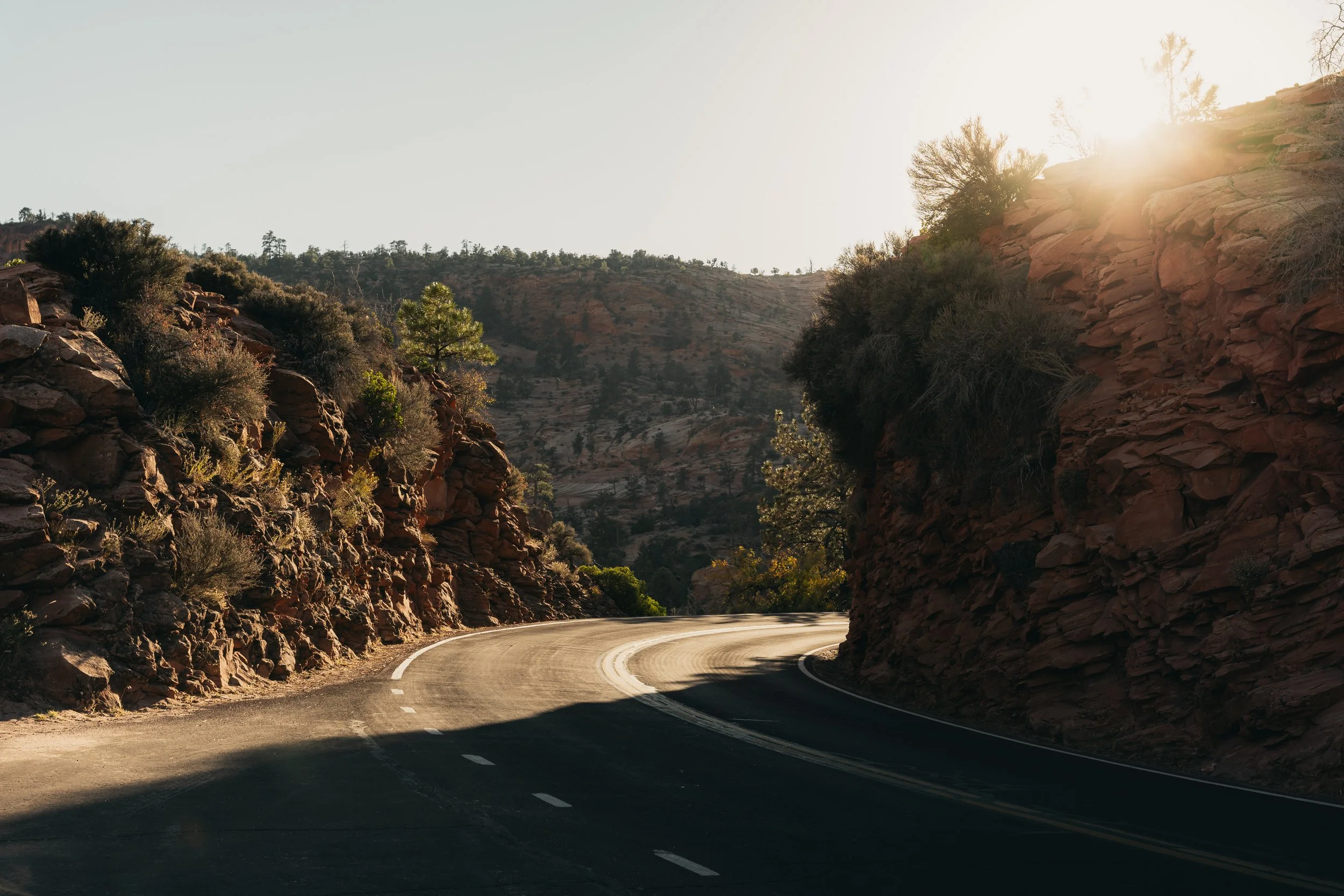 Zion_1023-12.jpg