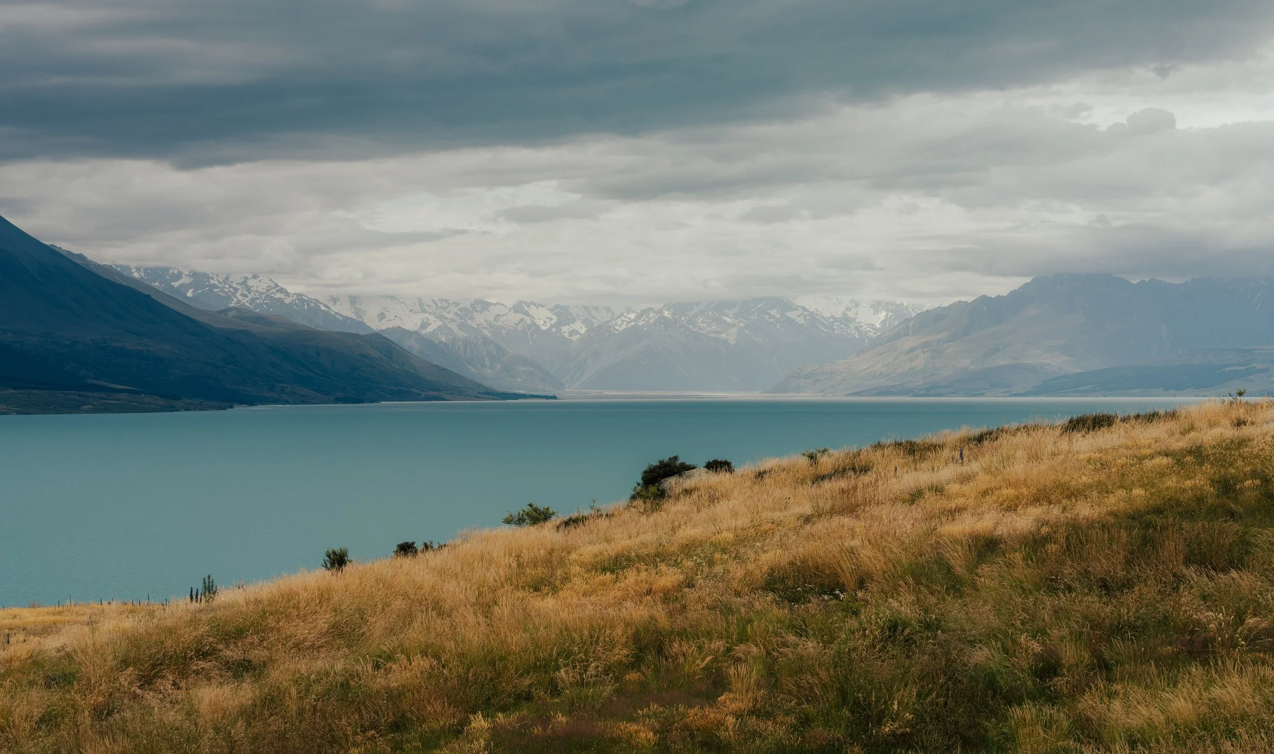 Squarespace_NewZealand-15.jpg