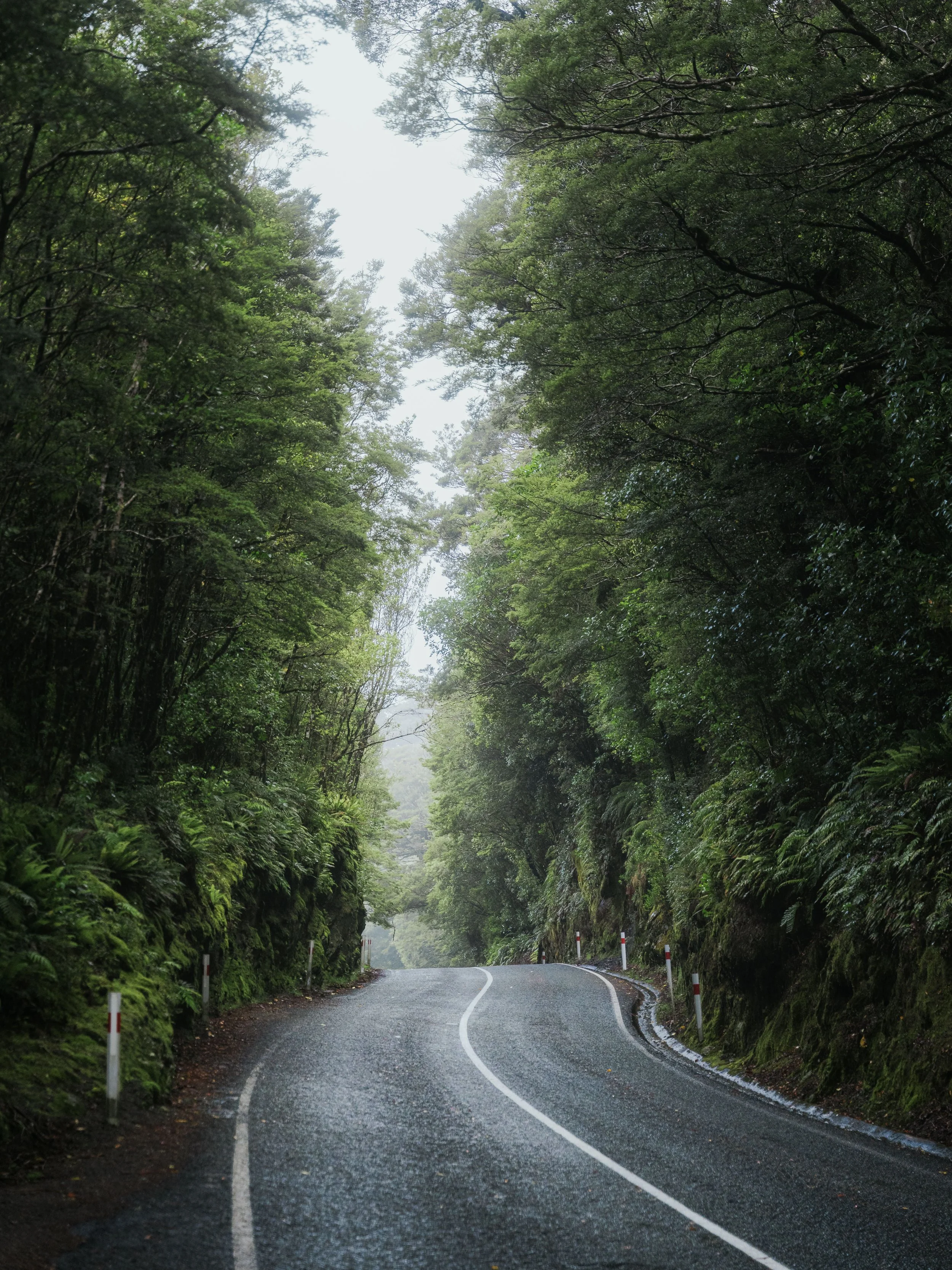 Squarespace_NewZealand-2.jpg