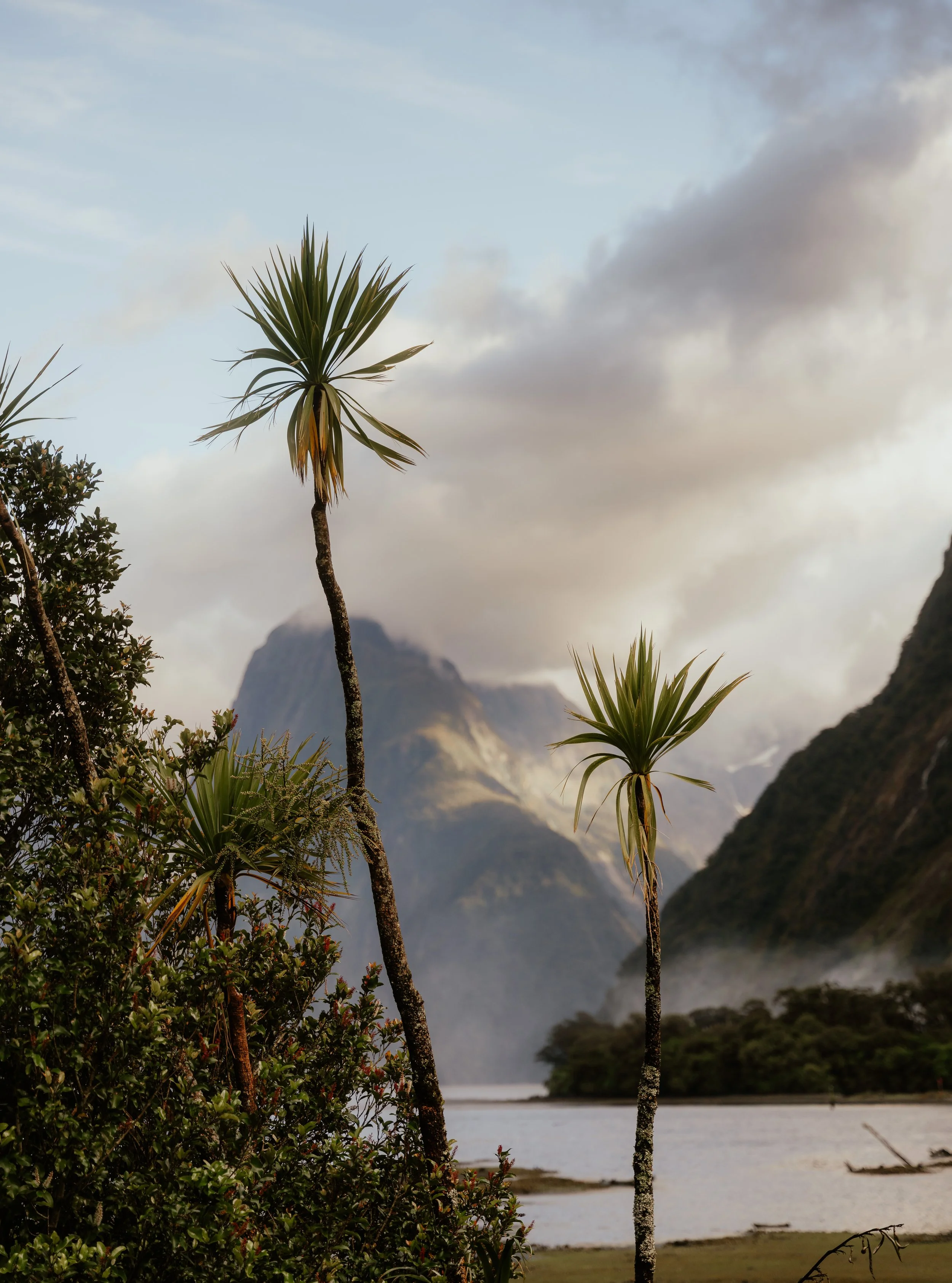 Squarespace_NewZealand-5.jpg