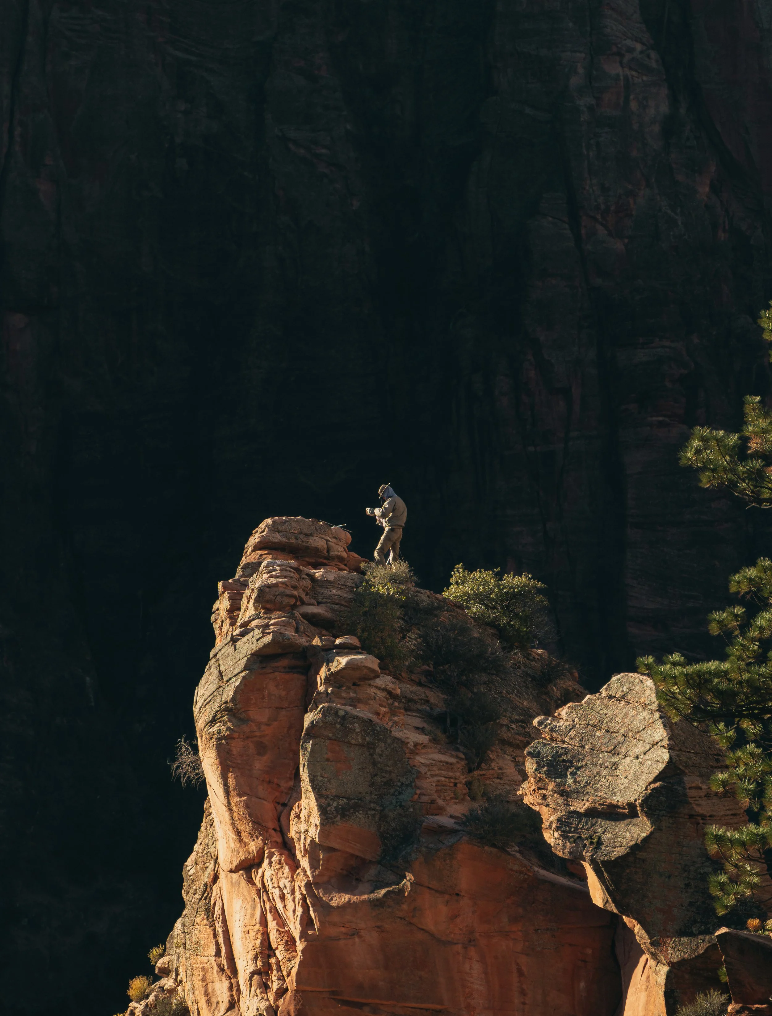 Zion_1023-22.jpg