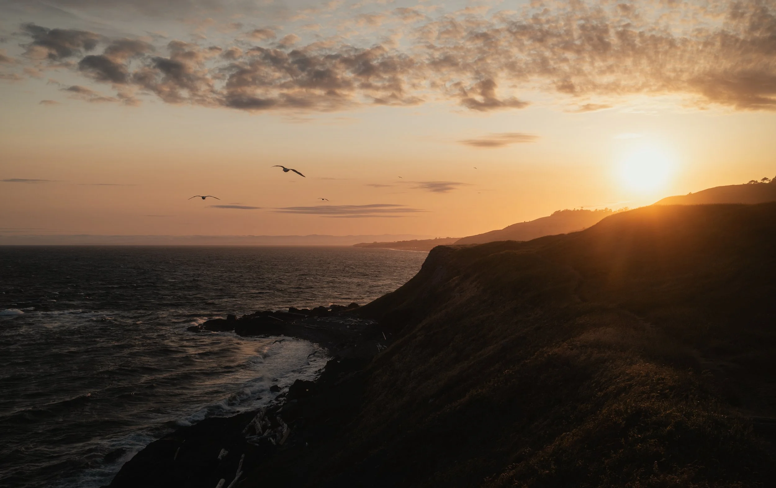 SanJuanIsland_Squarespace-1.jpg