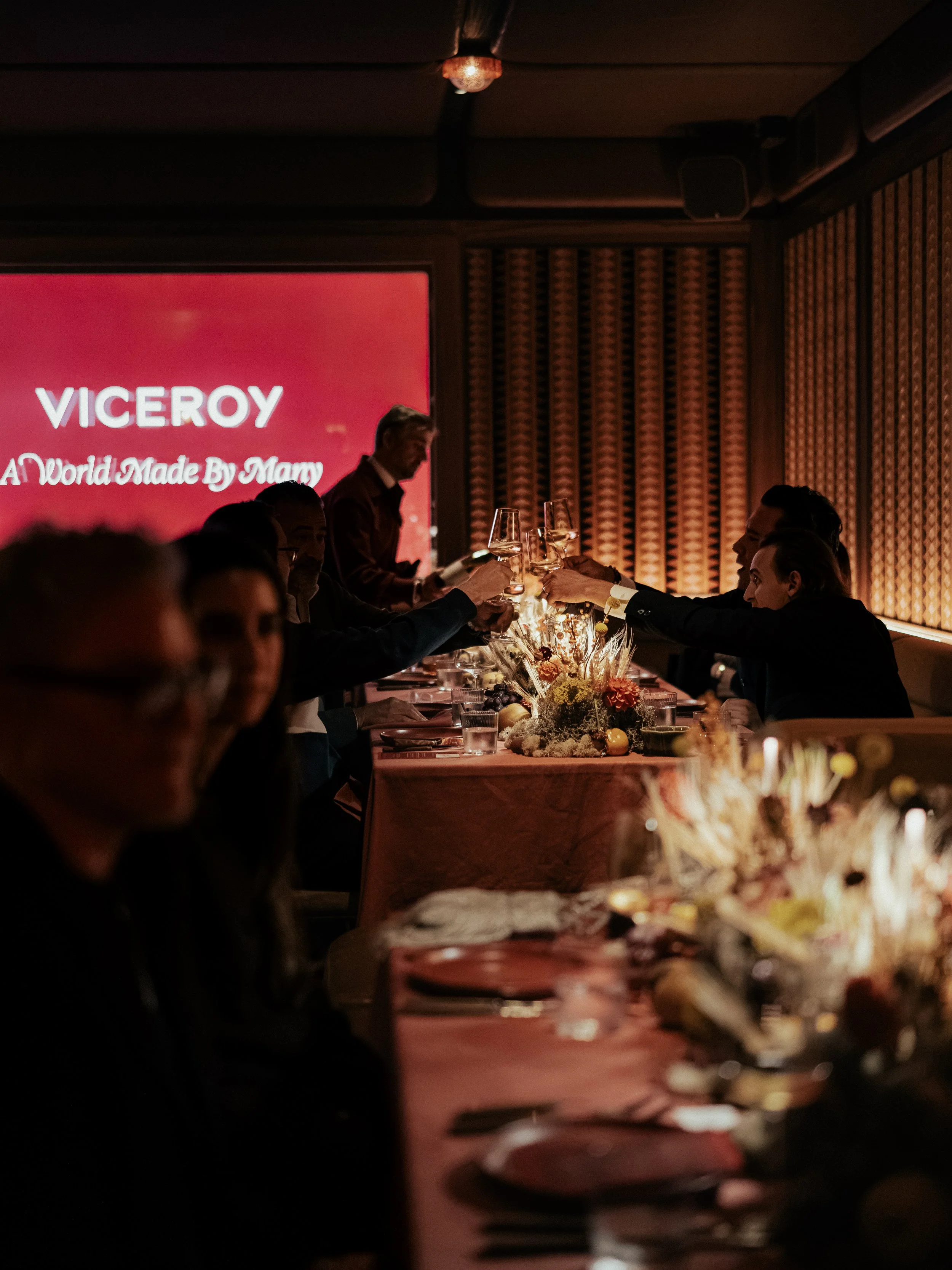 Squarespace_Viceroy-23.jpg